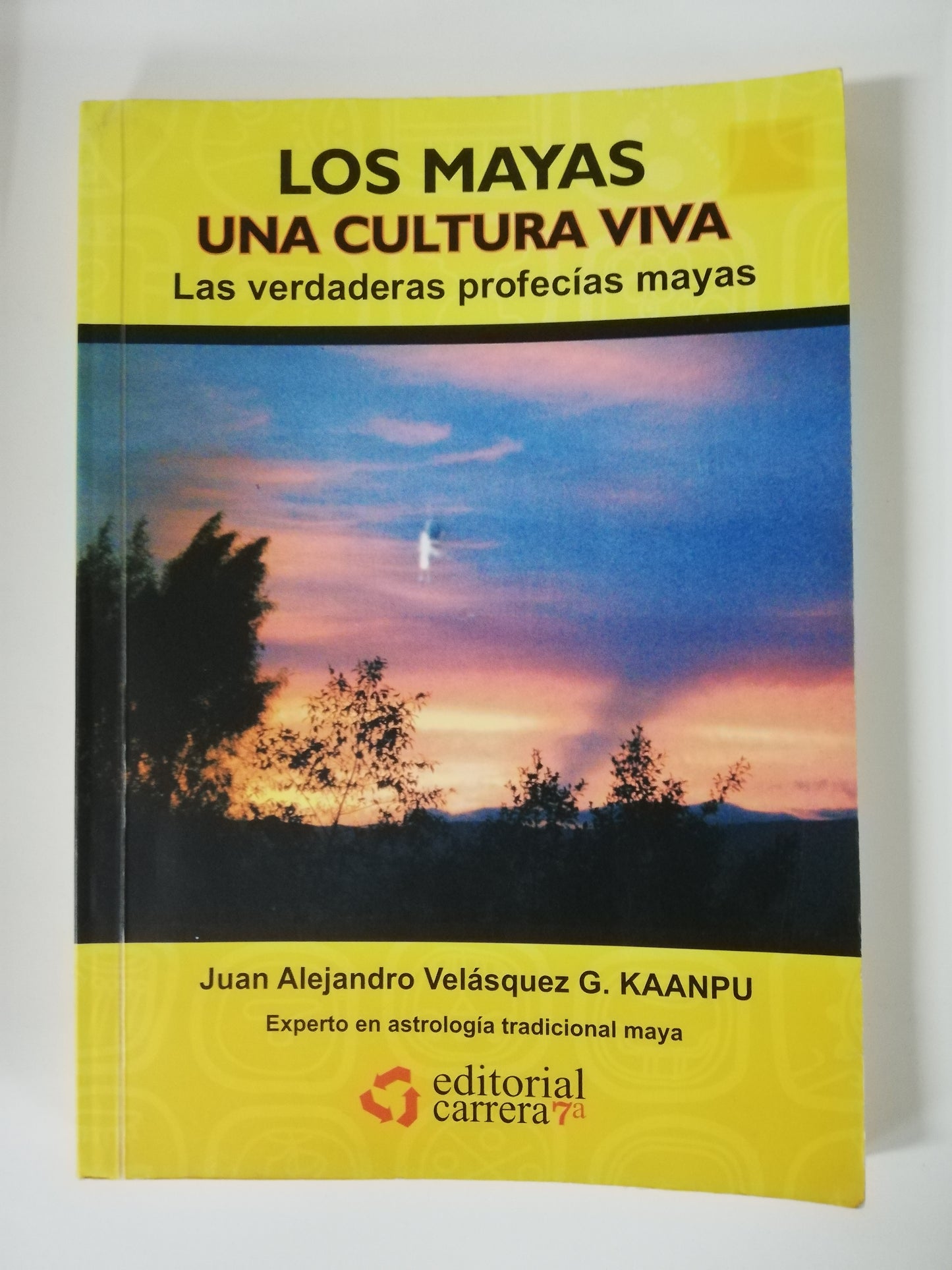 LOS MAYAS UNA CULTURA VIVA - JUAN ALEJANDRO VELASQUEZ