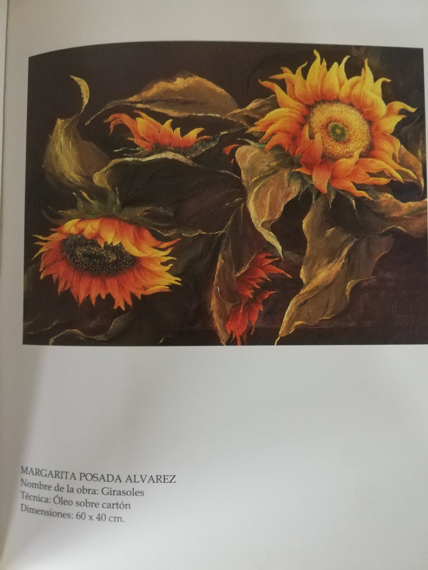 MEDELLIN...EN EQUIPO CON EL ARTE