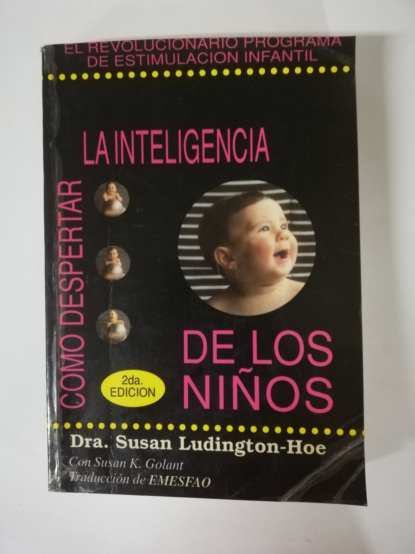 COMO DESPERTAR LA INTELIGENCIA DE LOS NIÑOS - DRA. SUSAN LUDINGTON-HOE
