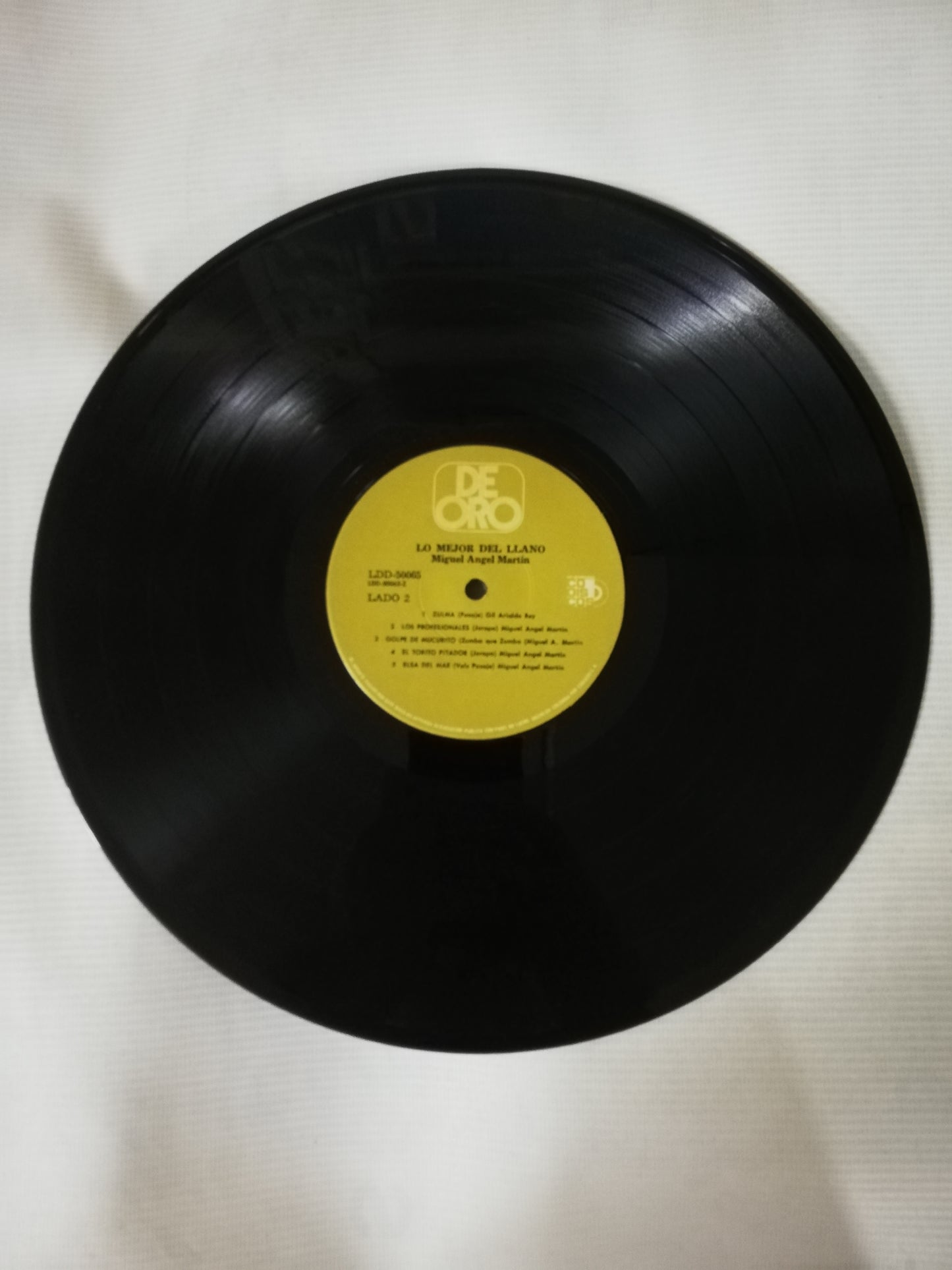 LP MIGUEL ANGEL MARTIN Y SU CONJUNTO LLANERO - LO MEJOR DEL LLANO