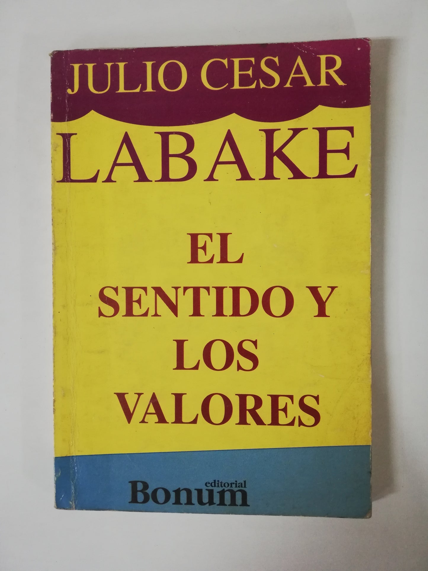 EL SENTIDO DE LOS VALORES - JULIO CESAR LABAKE