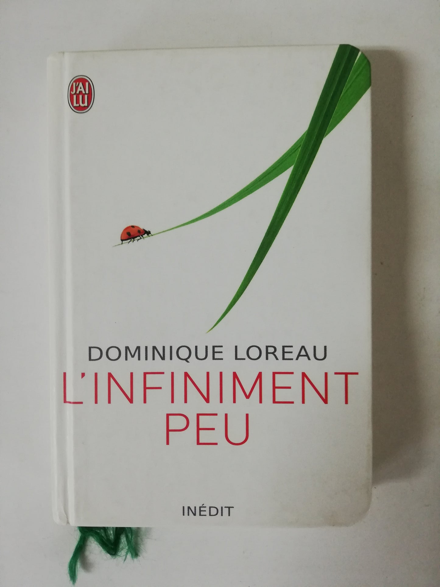 L´ INFINIMENT PEU - DOMINIQUE LOREAU