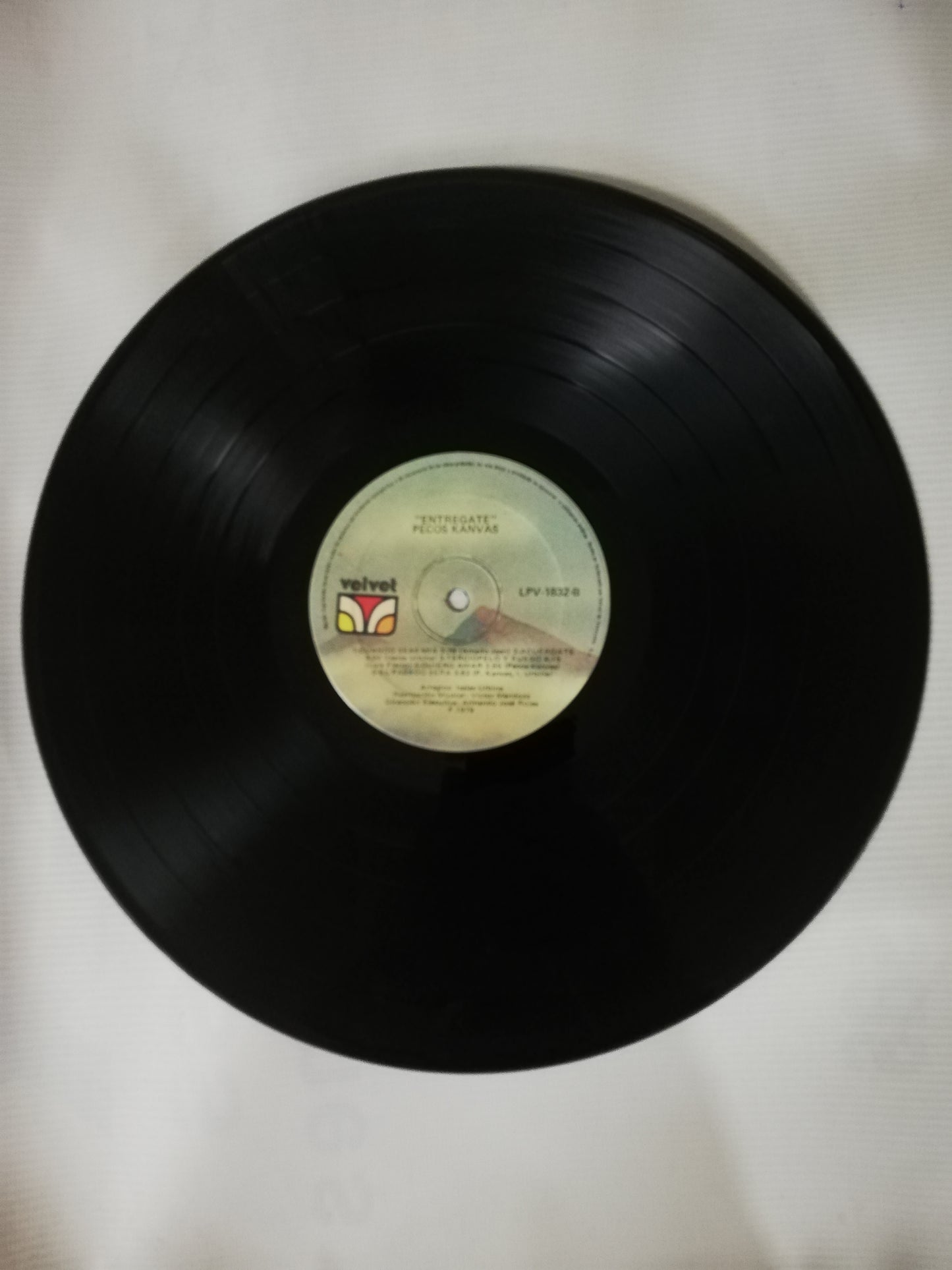 LP PECOS KANVAS - ...ENTREGATE