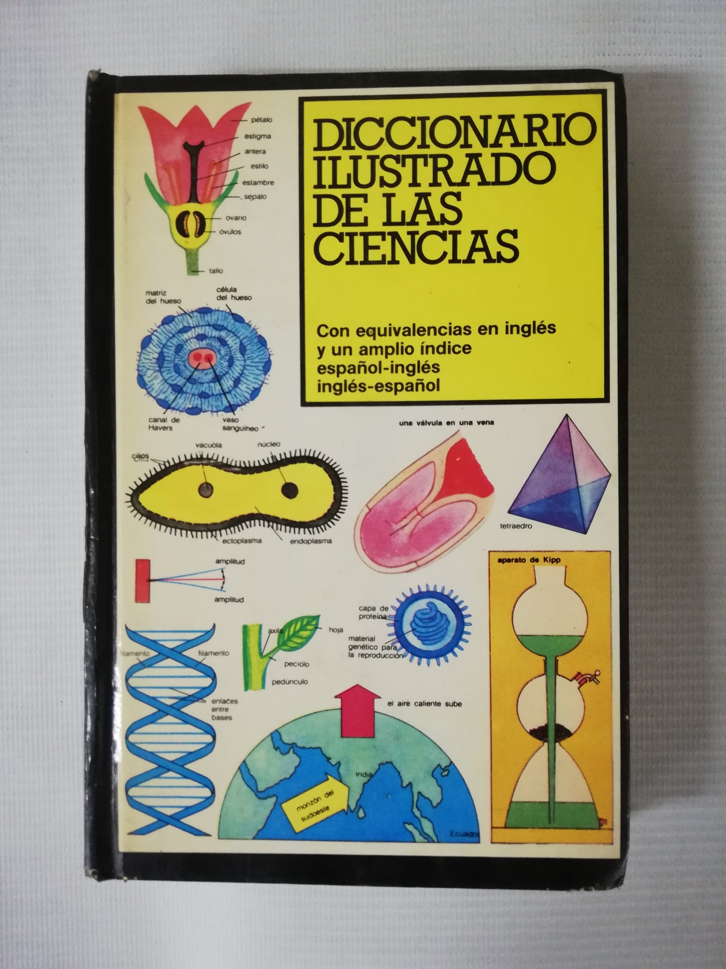 DICCIONARIO ILUSTRADO DE LAS CIENCIAS