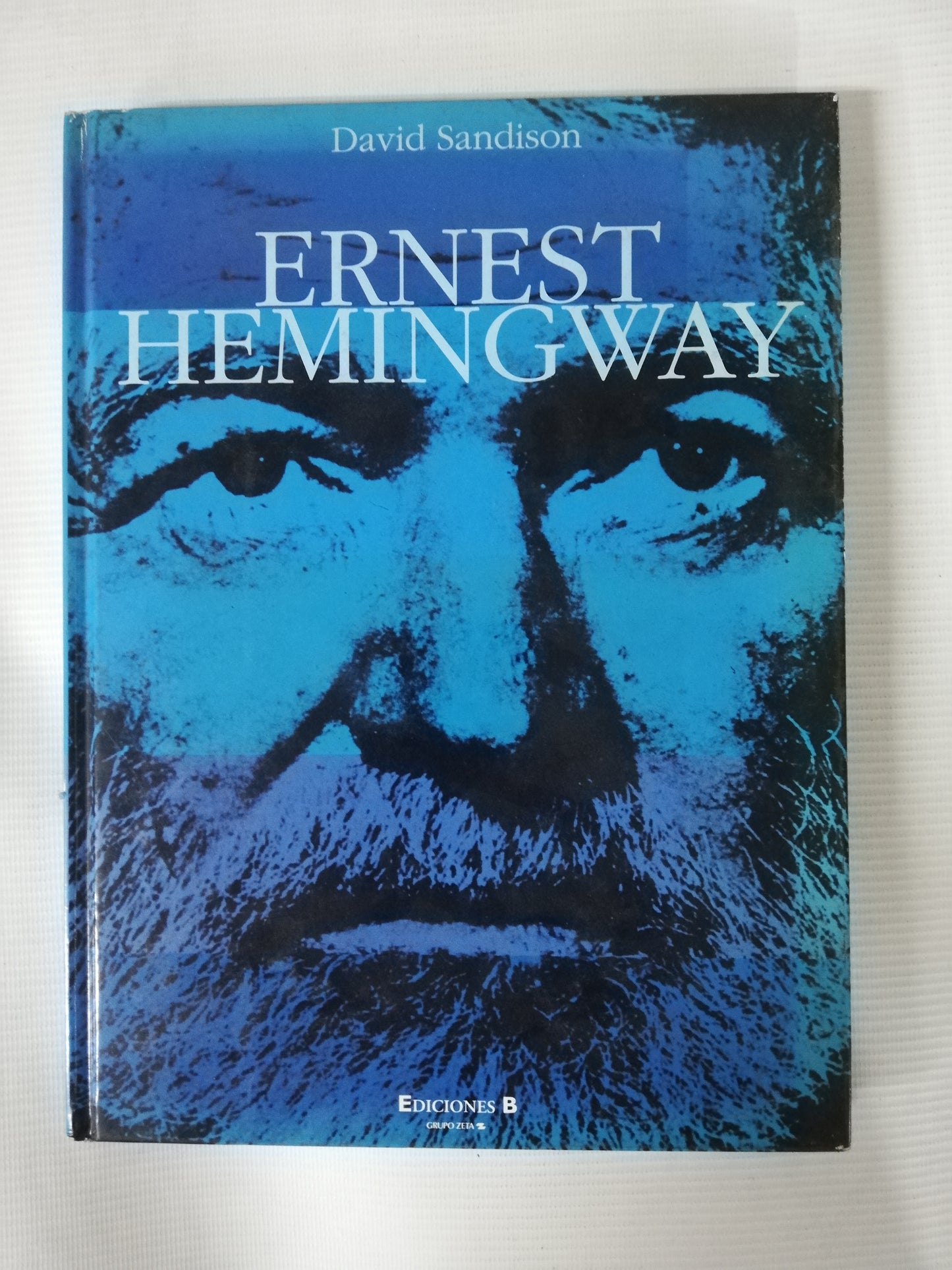 ERNEST HEMINGWAY - DAVID SANDISON