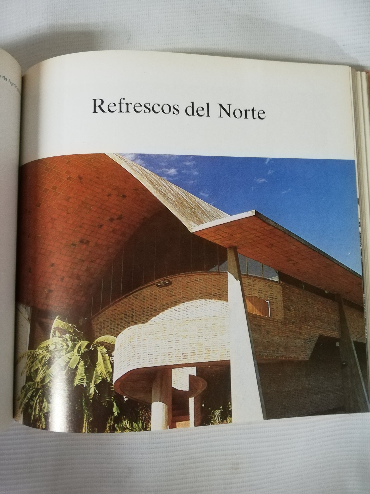 LA ESTRUCTURA CERÁMICA - ELADIO DIESTE