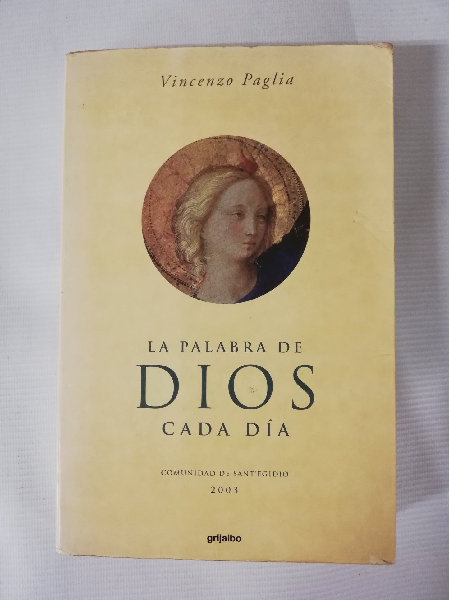 LA PALABRA DIOS CADA DÍA - VINCENZO PAGLIA