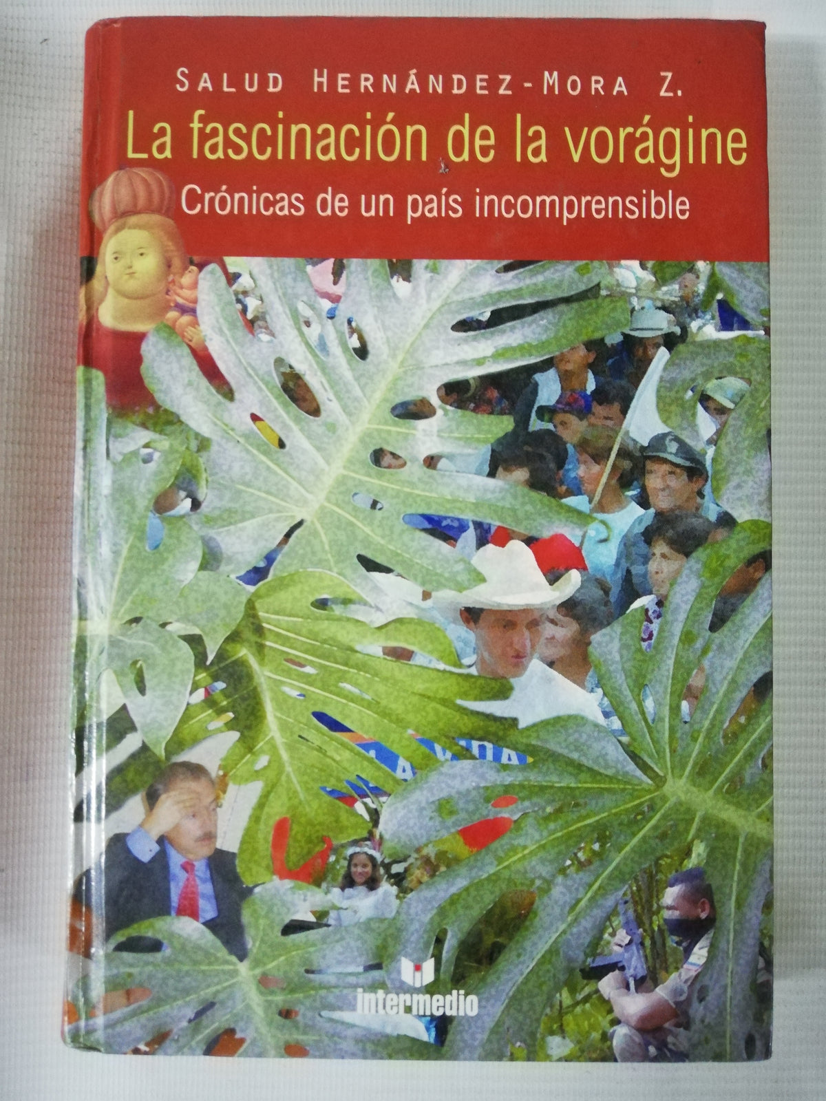LA FASCINACION DE LA VORAGINE - HERNANDEZ- MORA Z.
