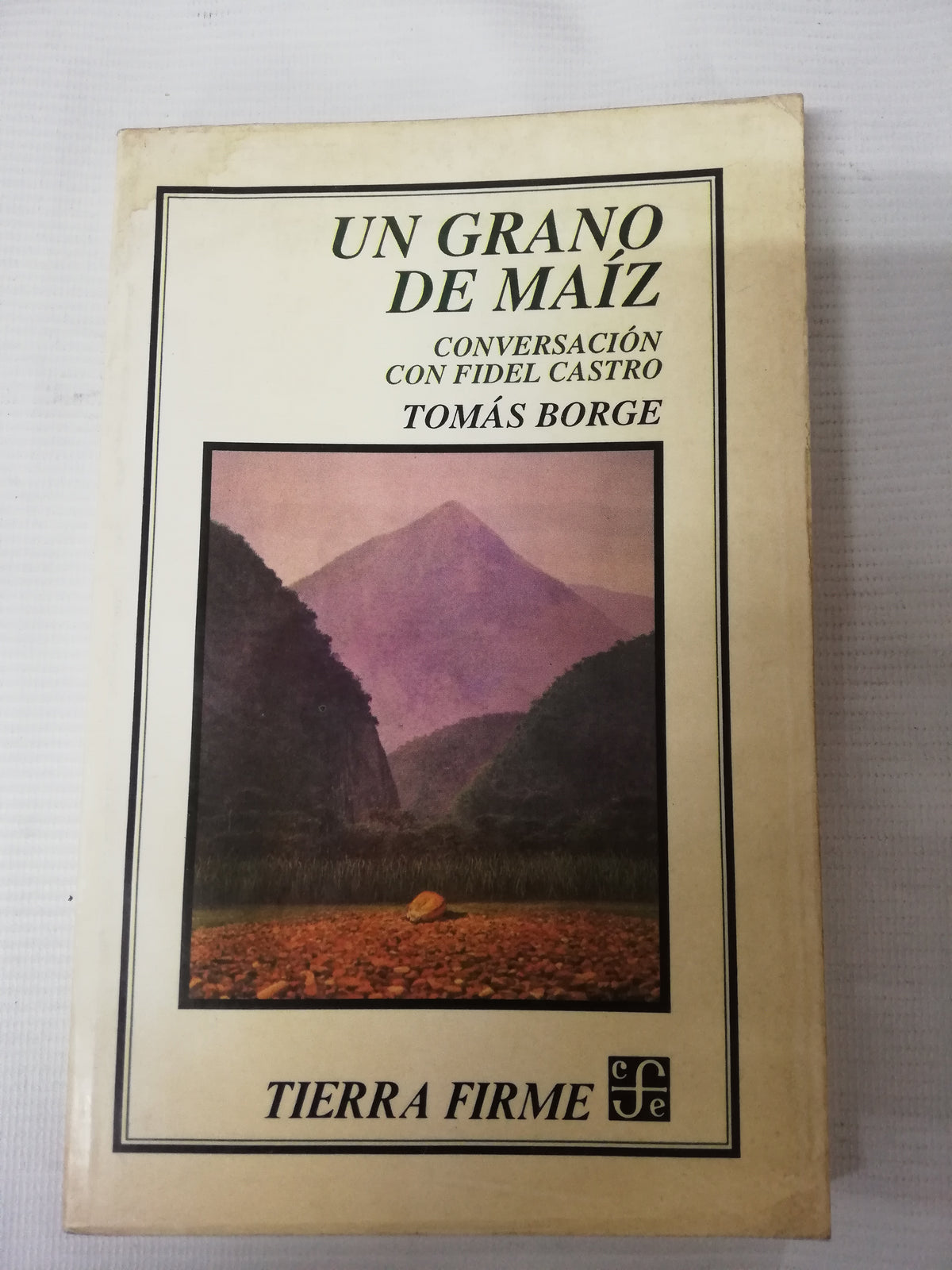 UN GRANO DE MAIZ - TOMAS BORGE