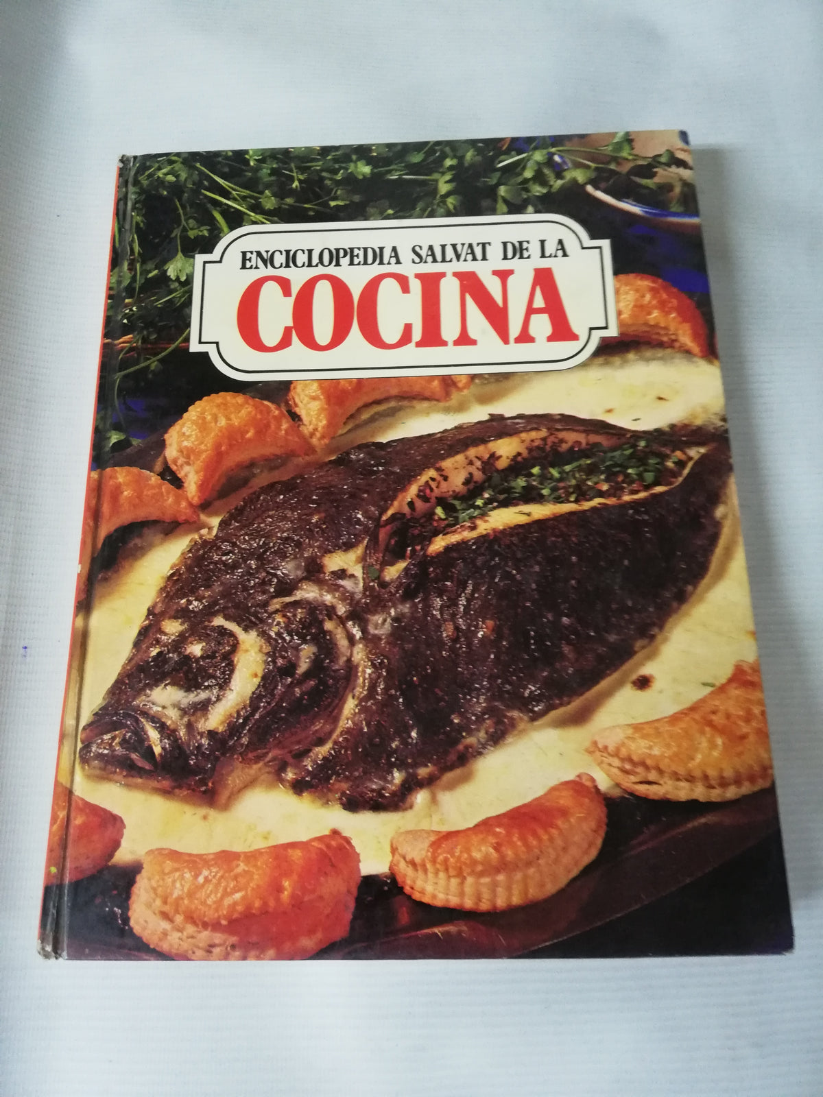 ENCICLOPEDIA SALVIAT DE LA COCINA - TOMO 6