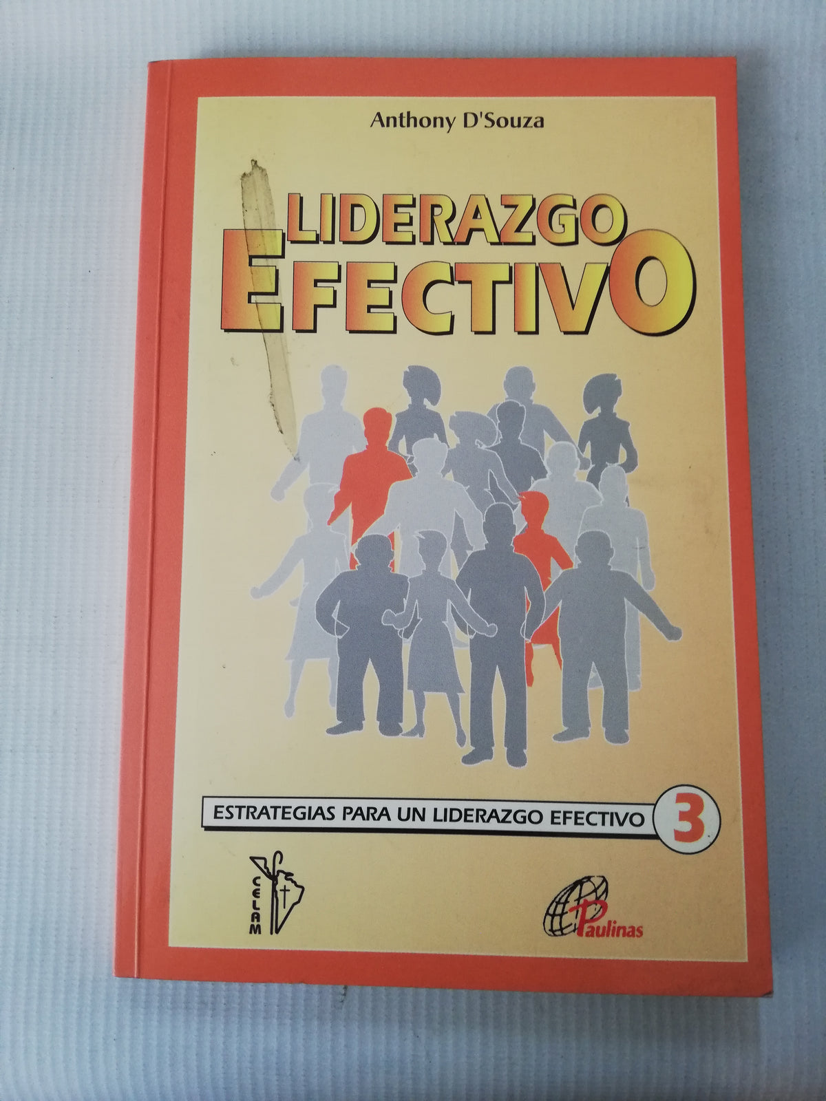 LIDERAZGO EFECTIVO - ANTHONY D SOUZA