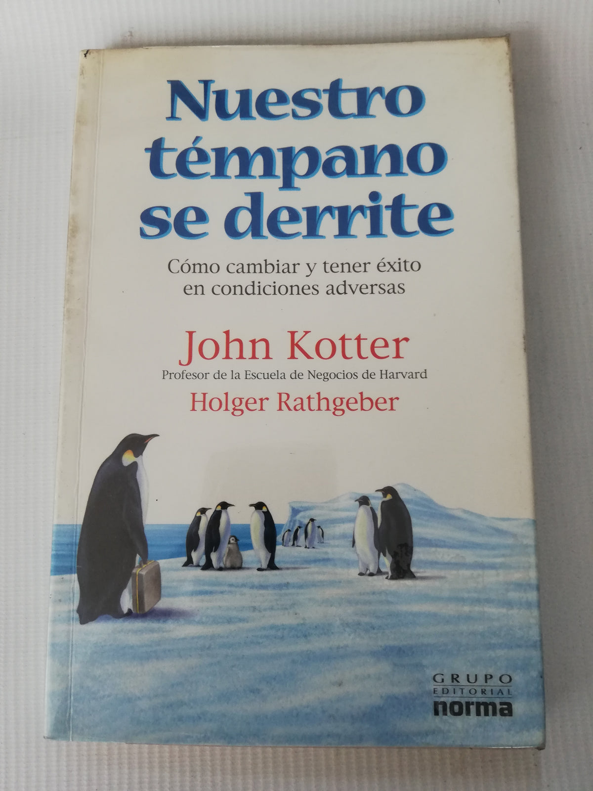 NUESTRO TEMPANO SE DERRITE - JOHN KOTTER