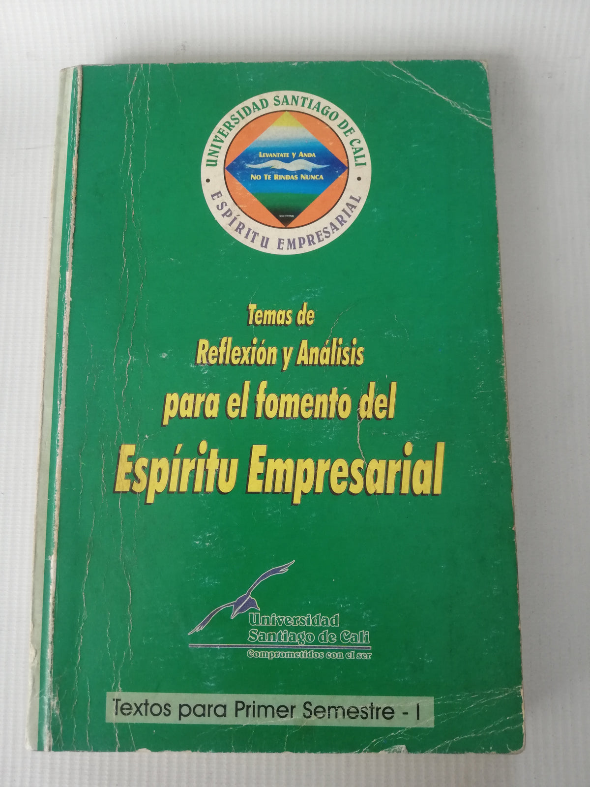TEMAS DE LA REFLEXION Y ANALISIS PARA EL FORMENTO DEL ESPIRITU EMPRESARIAL