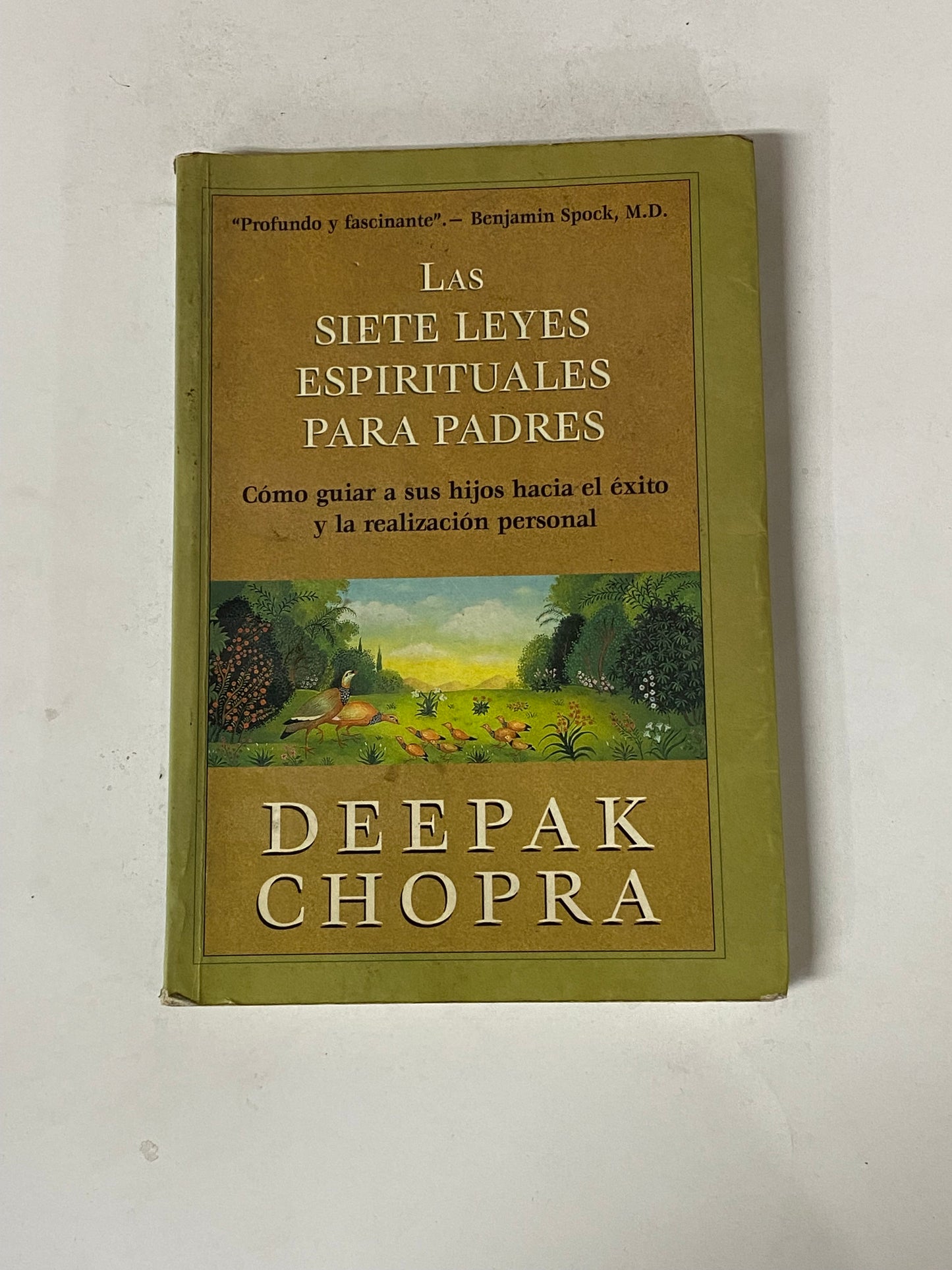 LAS SIETE LEYES ESPIRITUALES PARA PADRES - DEEPAK CHOPRA