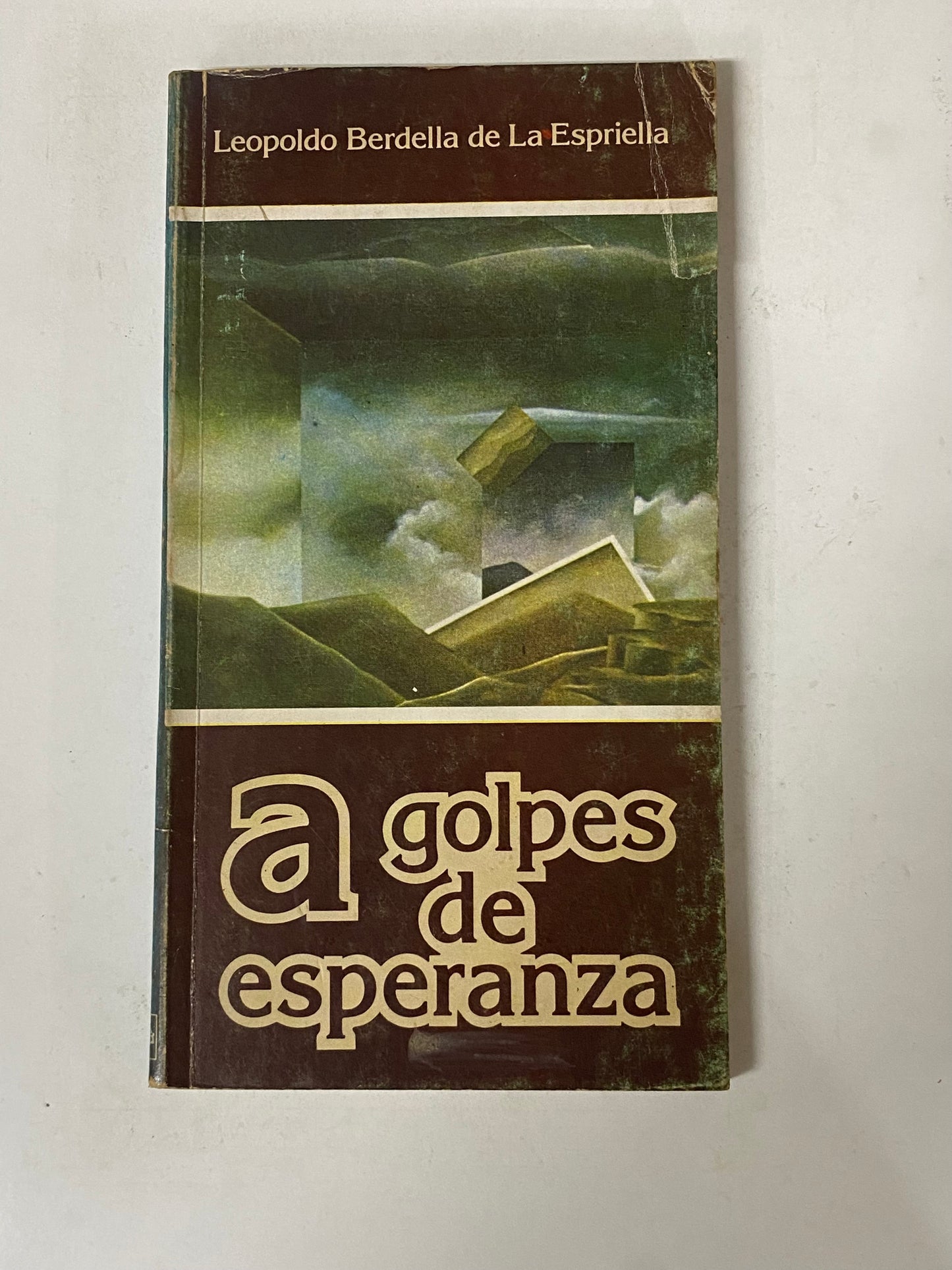 A GOLPES DE ESPERANZA- LEOPOLDO BERDELLA DE LA ESPRIELLA