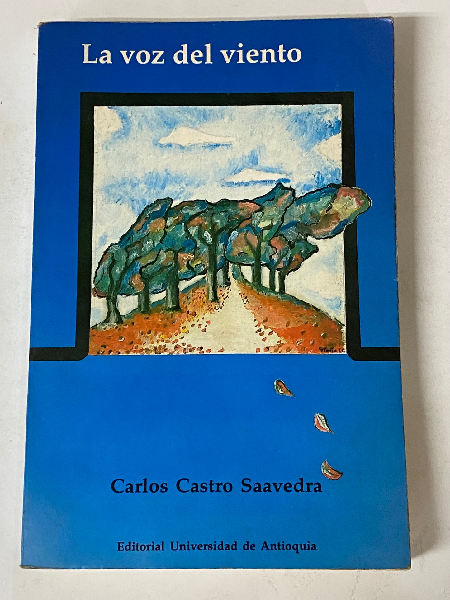 LA VOZ DEL VIENTO - CARLOS CASTRO SAAVEDRA