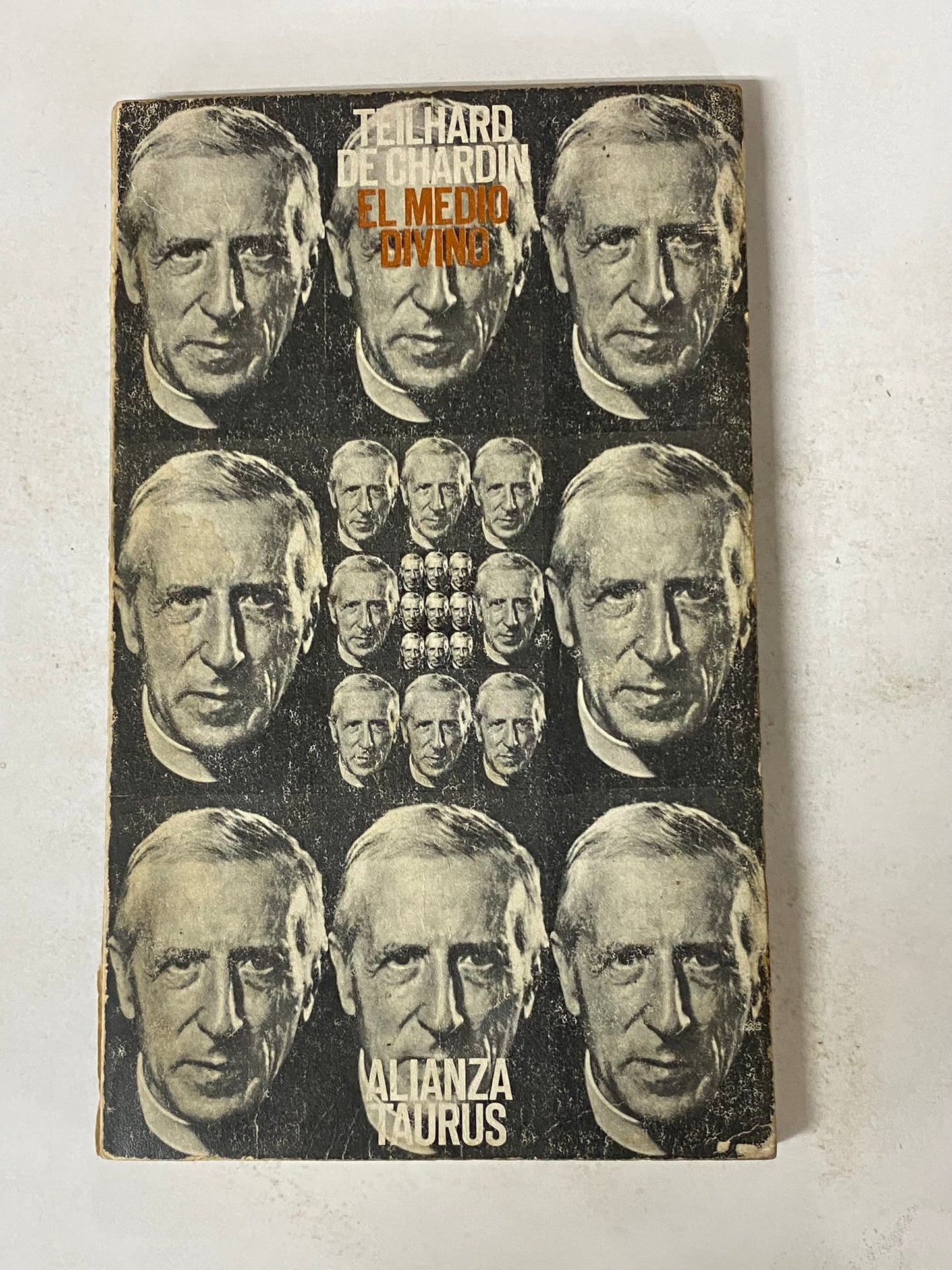 EL MEDIO DIVINO - TEILHARD DE CHARDIN