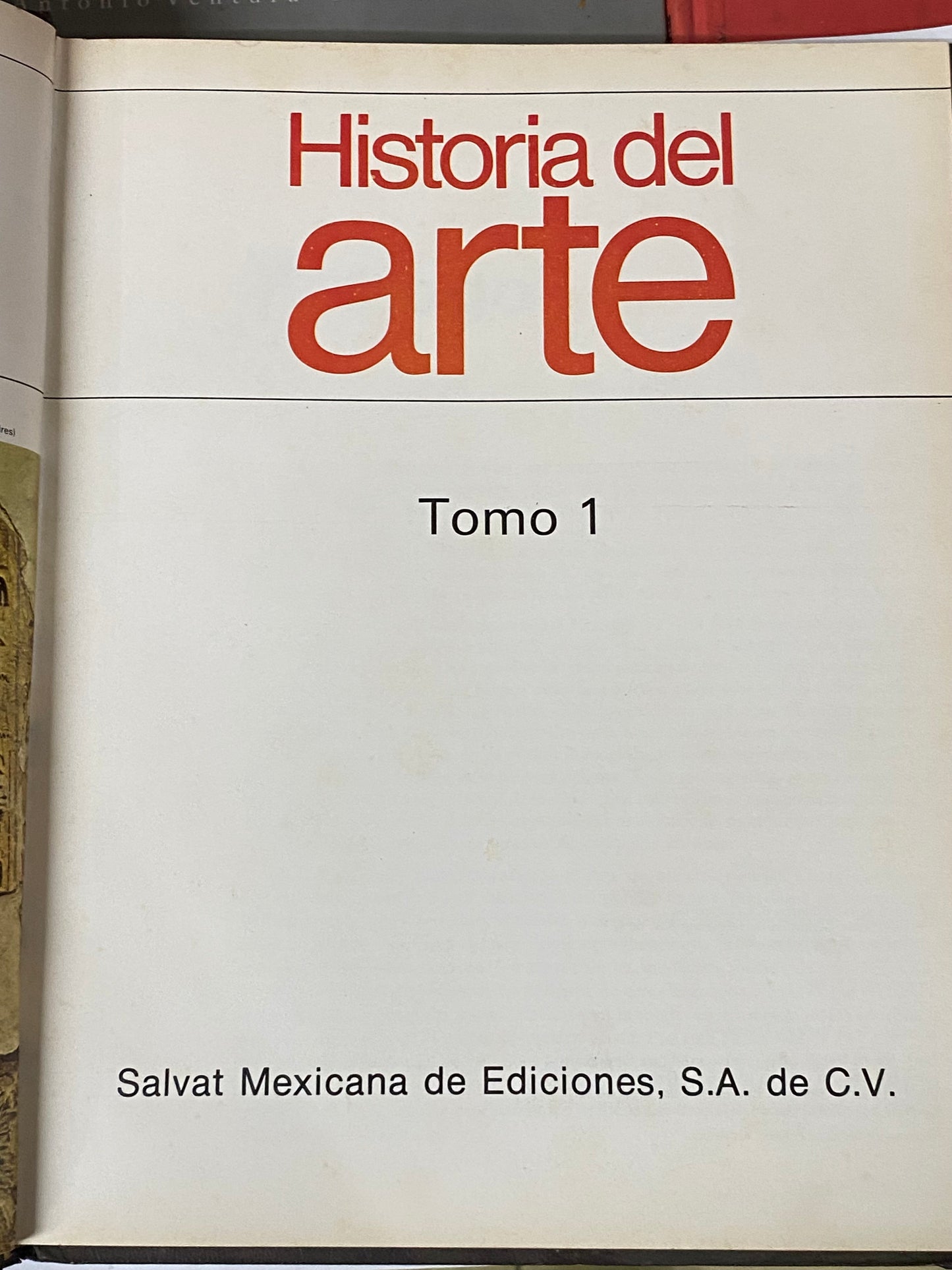 ENCICLOPEDIA HISTORIA DEL ARTE SALVAT - 12 TOMOS