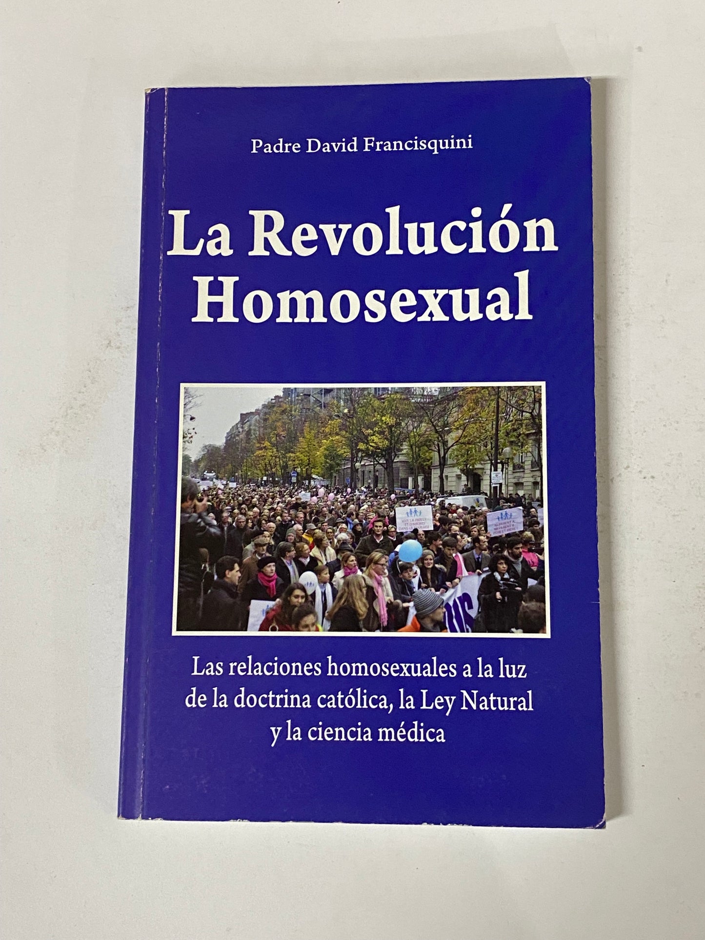 LA REVOLUCION HOMOSEXUAL- PADRE DAVID FRANCISQUINI