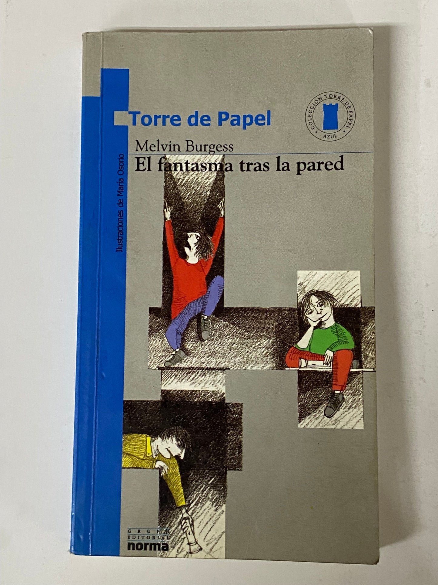 EL FANTASMA TRAS LA PARED - MELVIN BURGESS