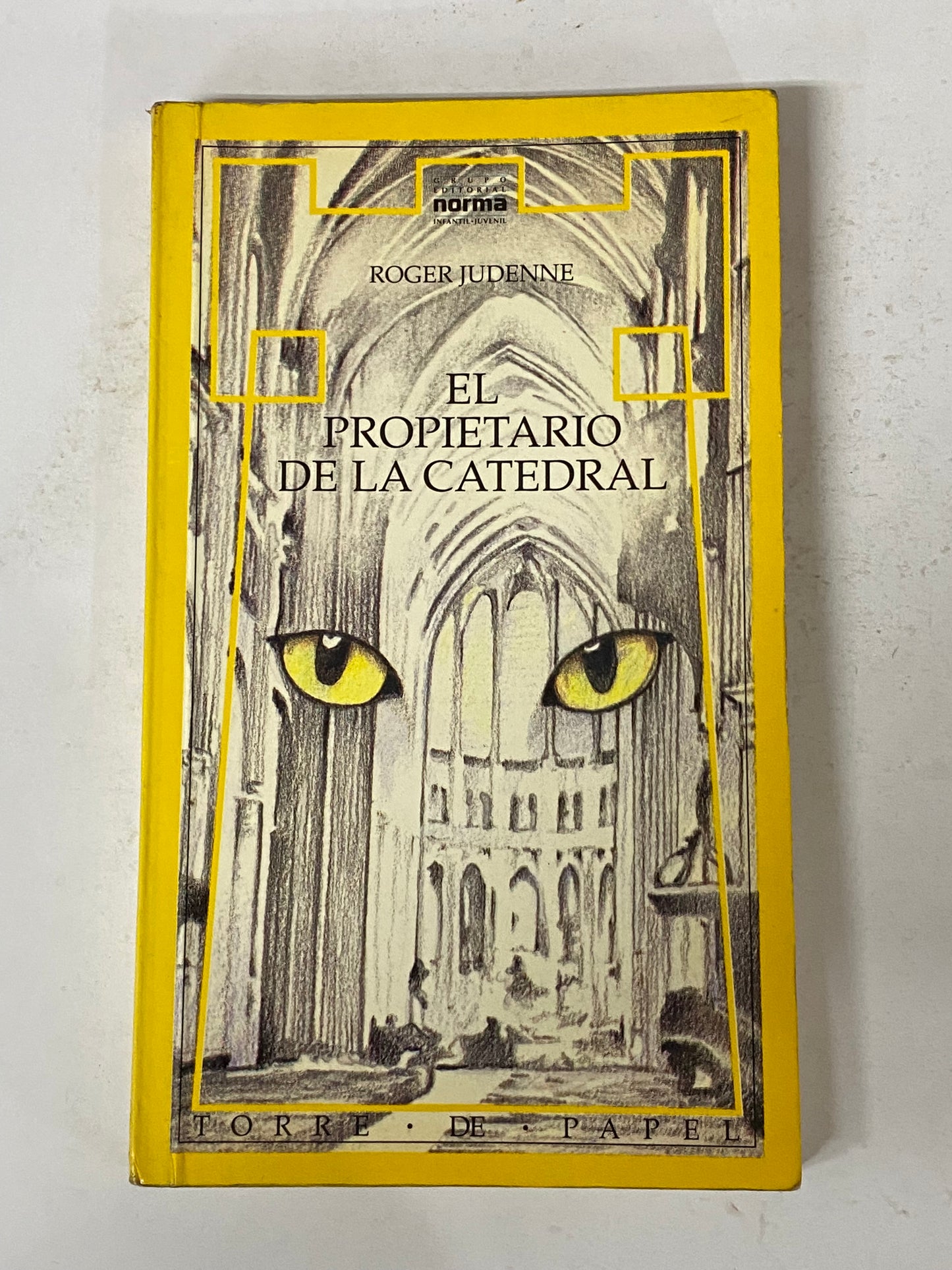 EL PALACIO DE LA CATEDRAL - ROGER JUDENNE