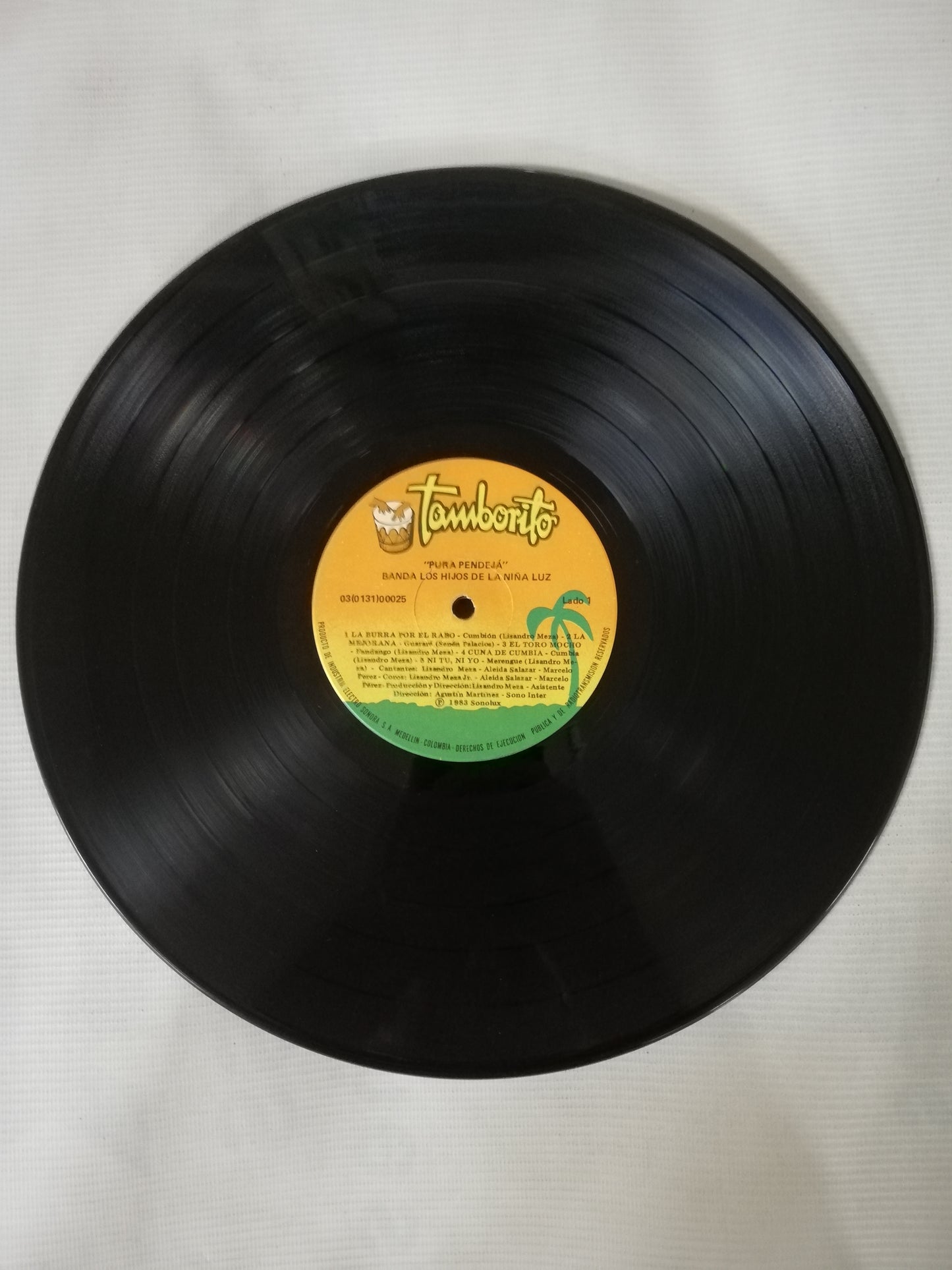 LP BANDA LOS HIJOS DE LA NIÑA LUZ - PURA PENDEJÁ