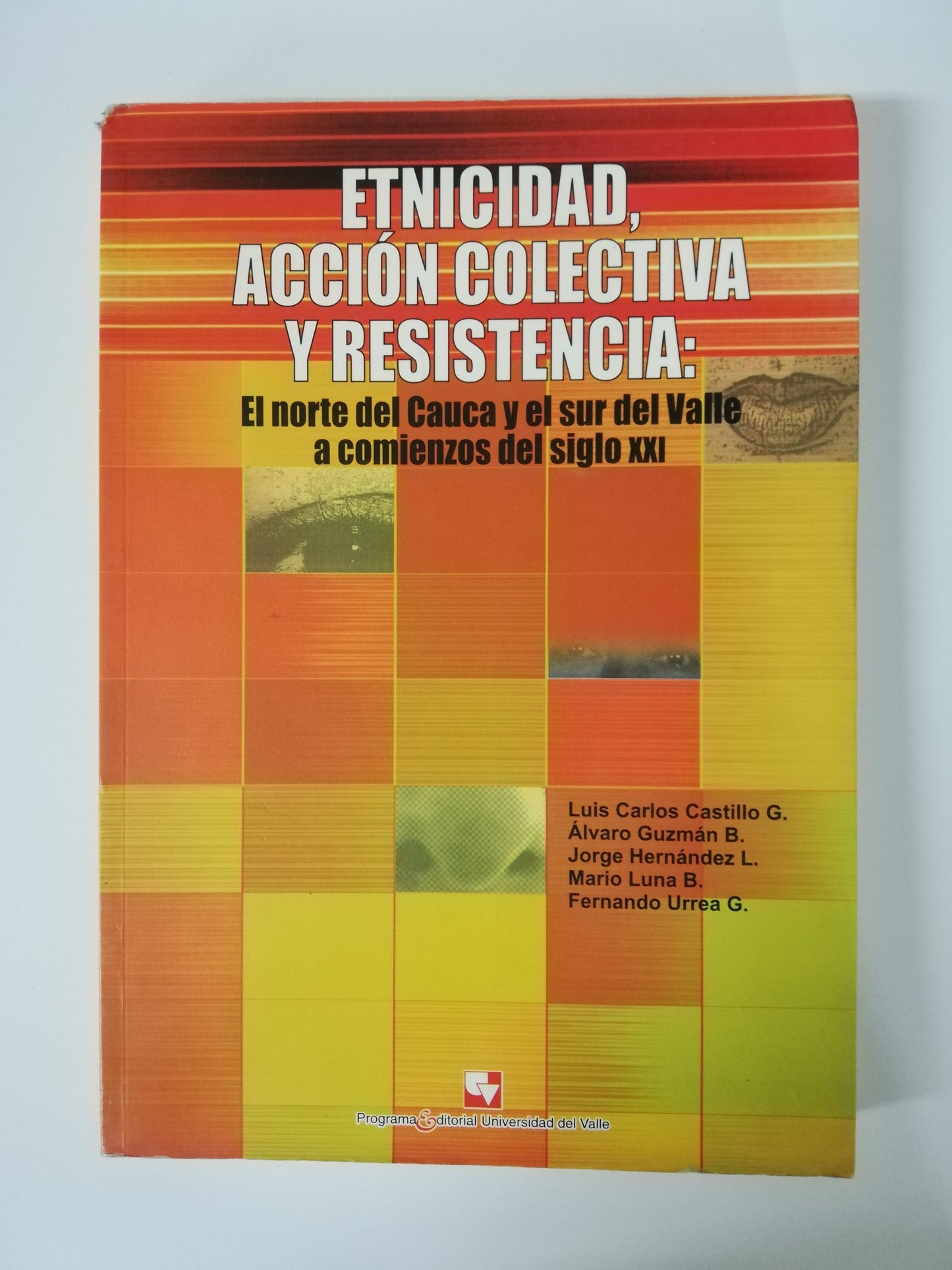 ETNICIDAD, ACCIÓN COLECTIVA Y RESISTENCIA: EL NORTE DEL CAUCA Y EL SUR DEL VALLE A COMIENZOS DEL SIGLO XXI - LUIS CARLOS CASTILLO / ALVARO GUZMAN / JORGE HERNANDEZ / MARIO LUNA / FERNANDO URREA