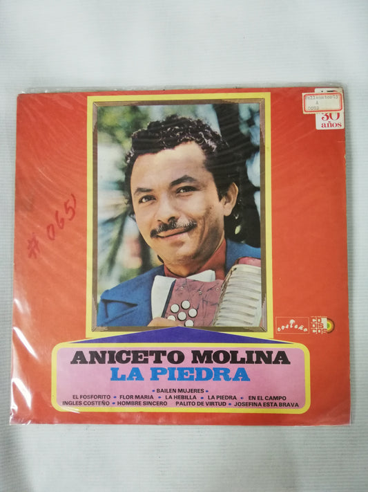 LP ANICETO MOLINA - LA PIEDRA