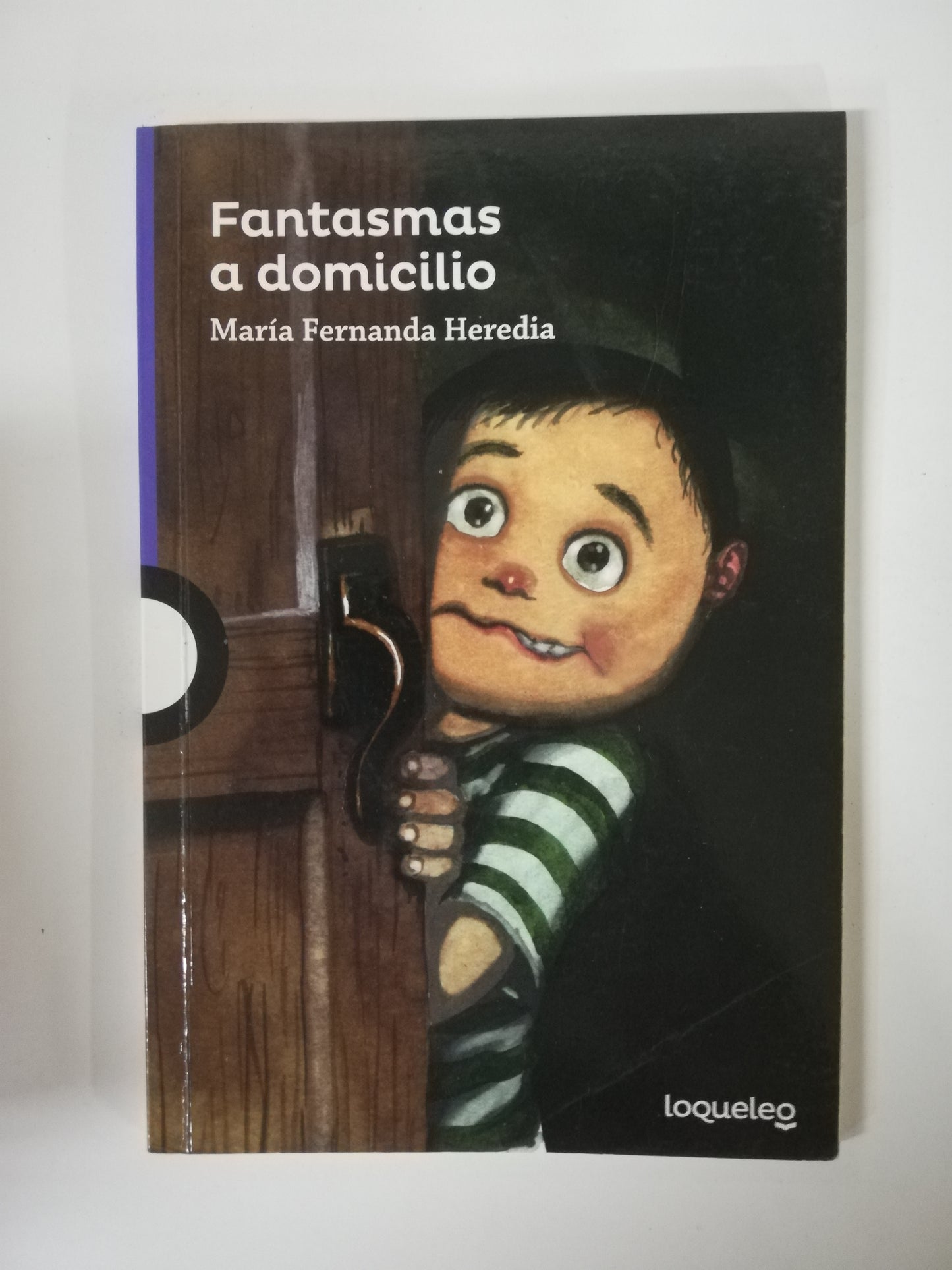 FANTASMAS A DOMICILIO - MARIA FERNANDA HEREDIA