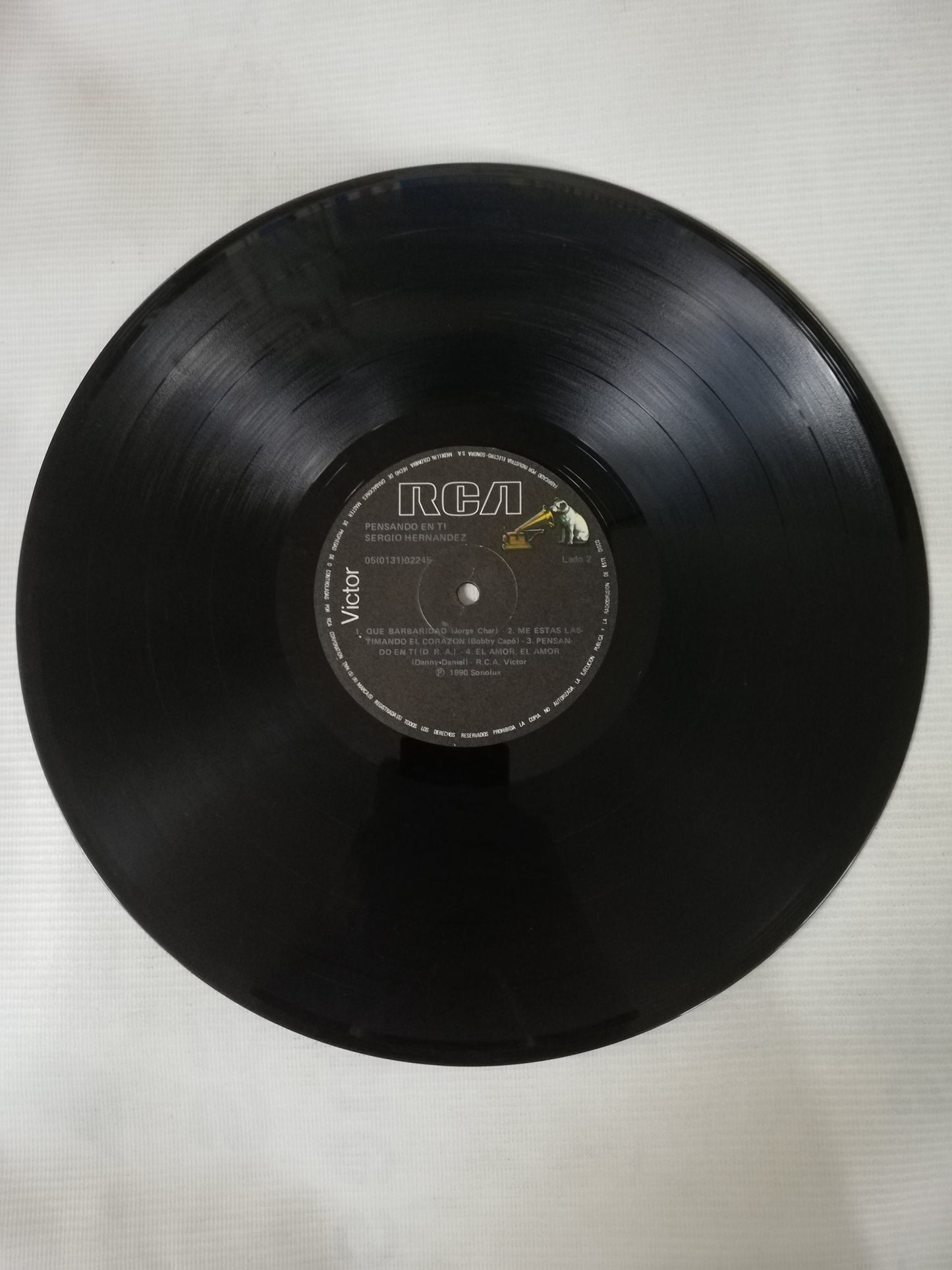 LP SERGIO HERNANDEZ - PENSANDO EN TI