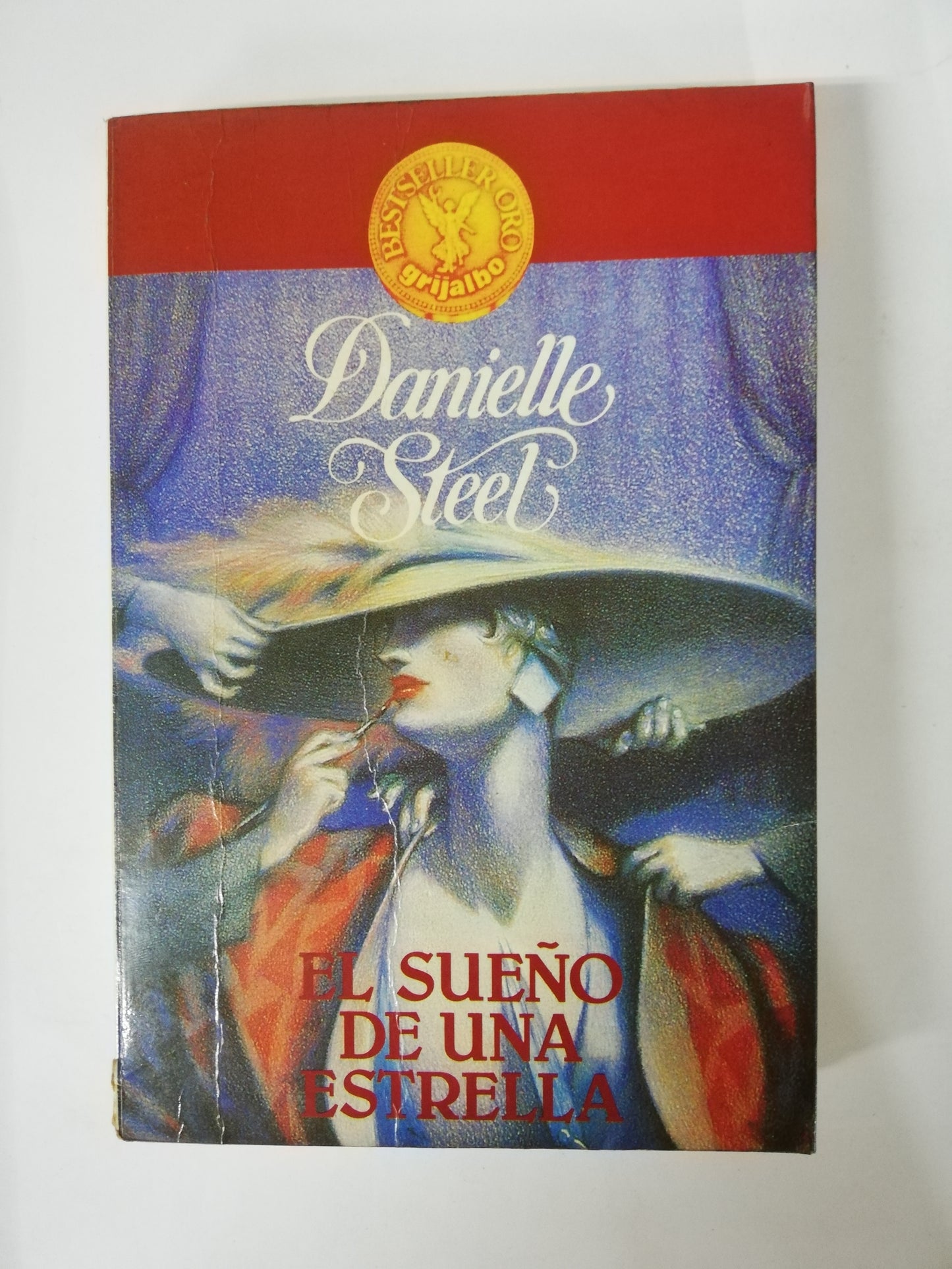 EL SUEÑO DE UNA ESTRELLA - DANIELLE STEEL