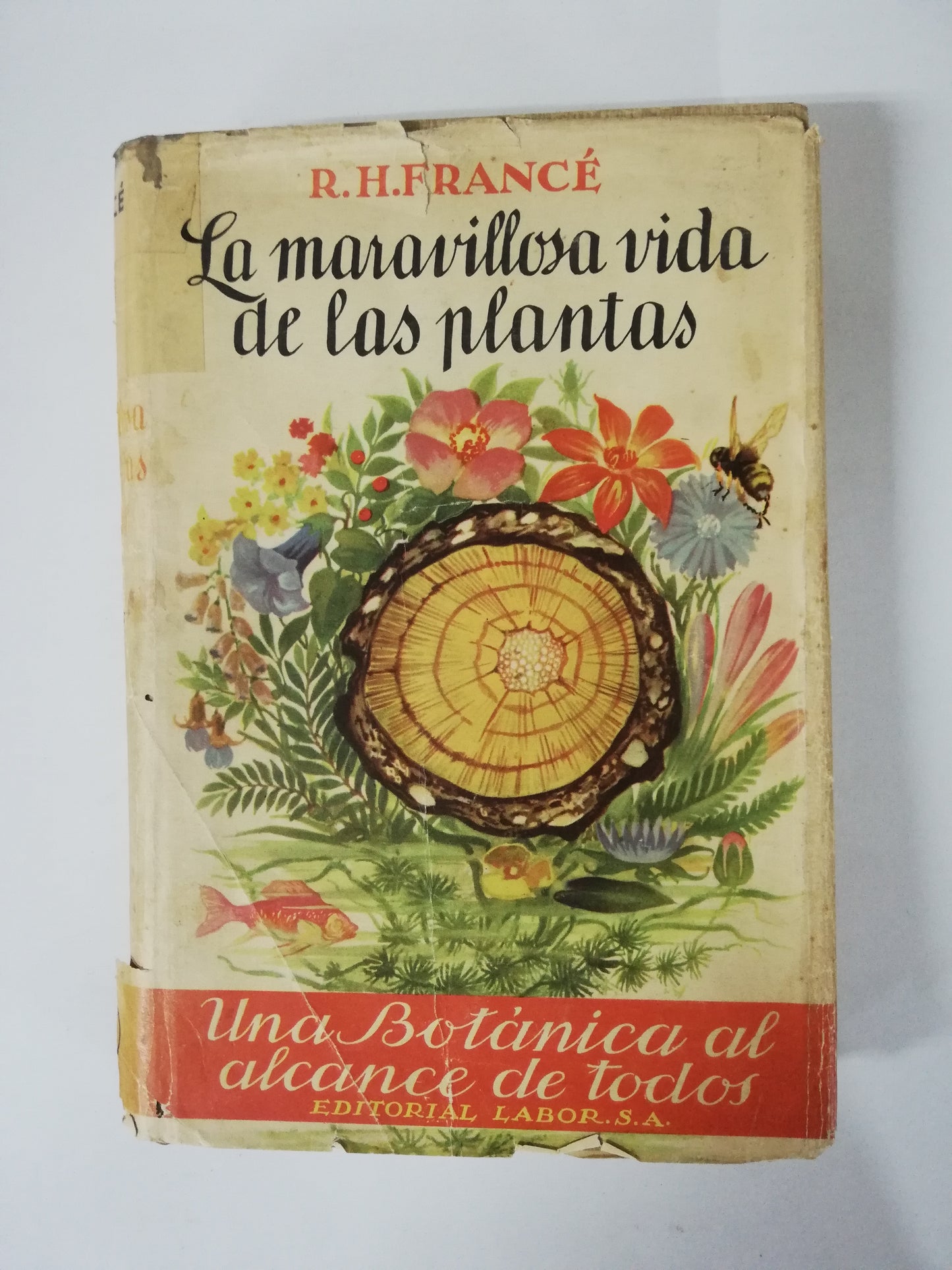 LA MARAVILLOSA VIDA DE LAS PLANTAS: UNA BOTÁNICA AL ALCANCE DE TODOS - R. H. FRANCÉ