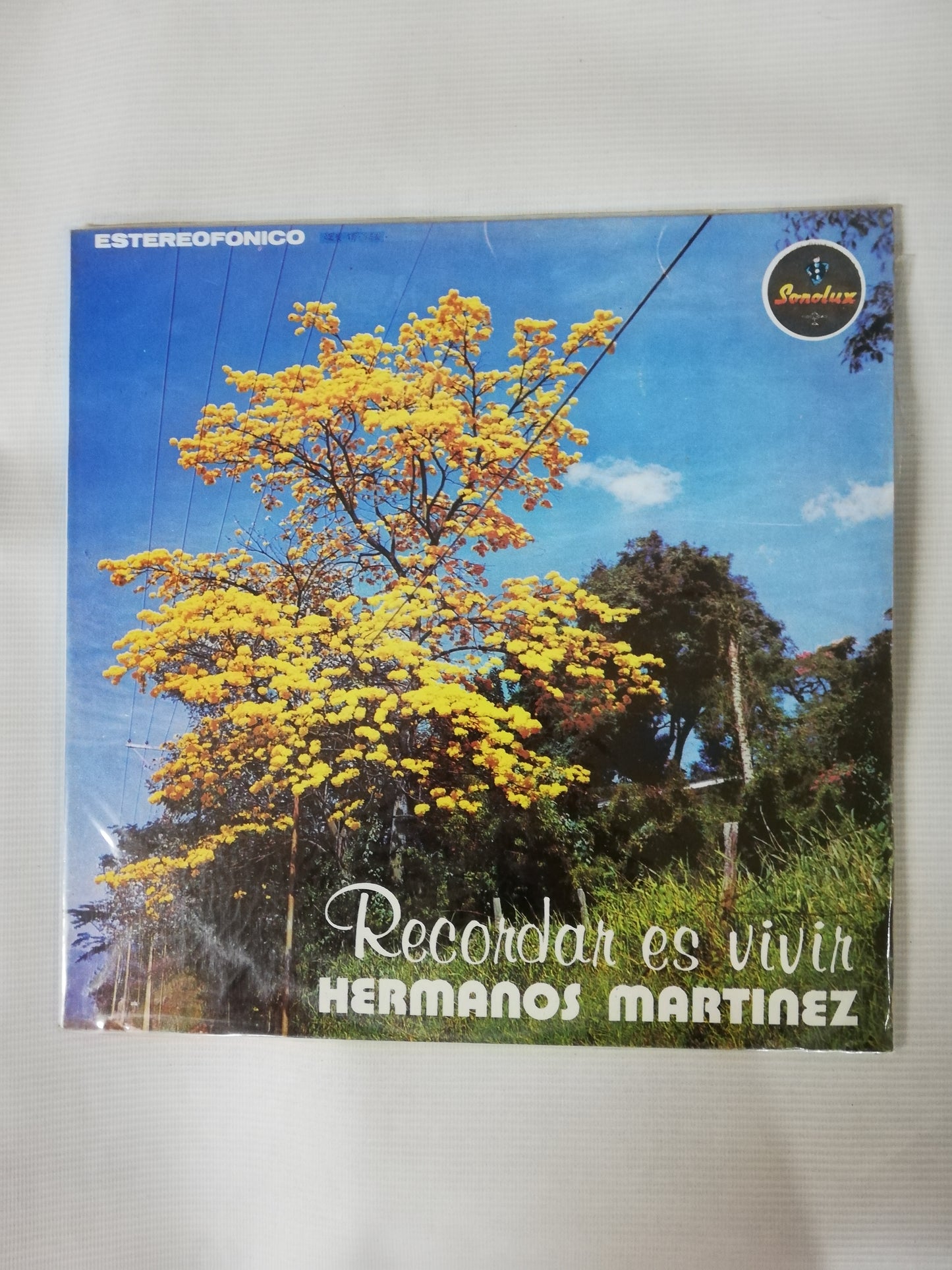 LP HERMANOS MARTINEZ - RECORDAR ES VIVIR
