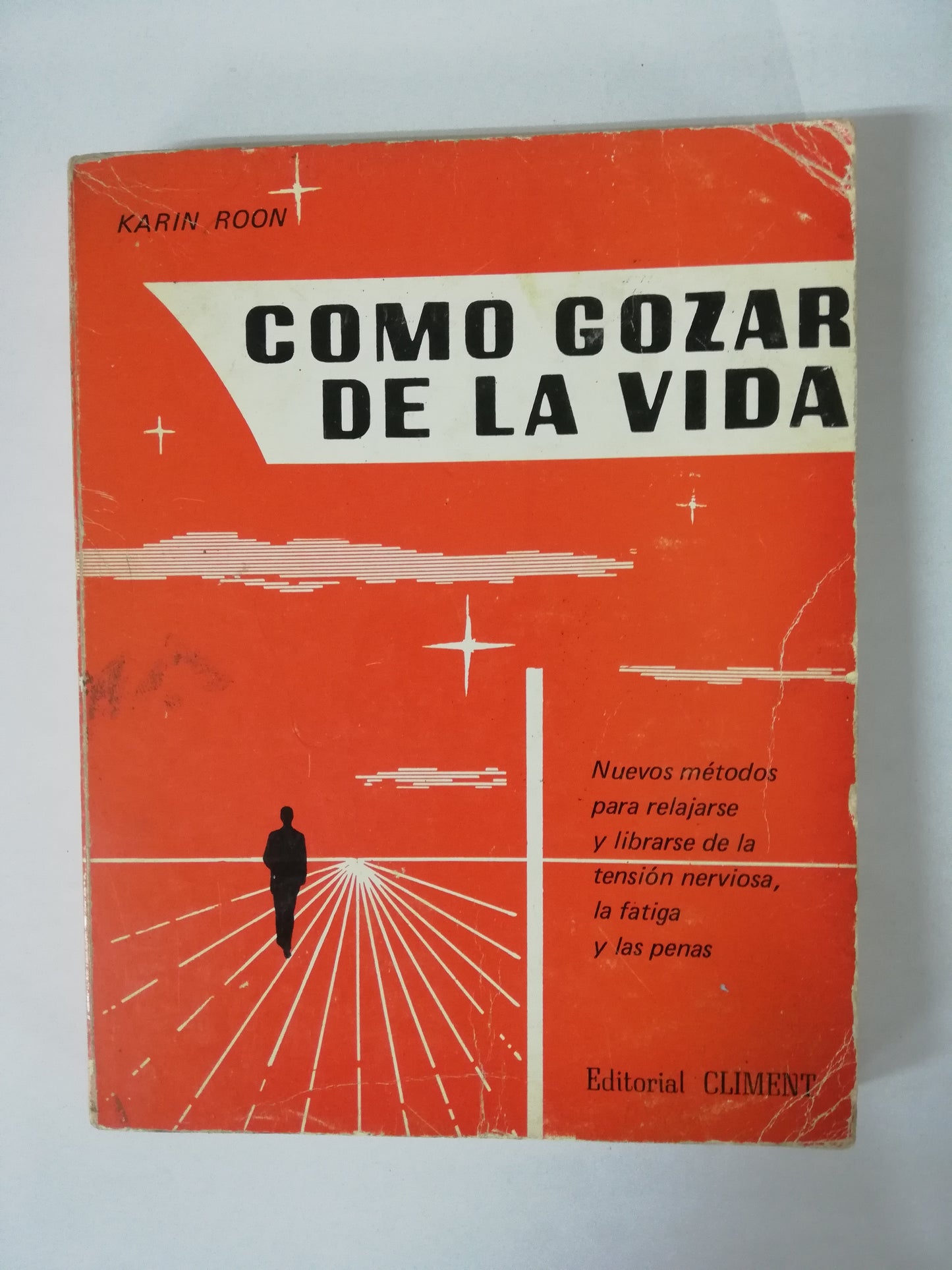 COMO GOZAR DE LA VIDA - KARIN ROON