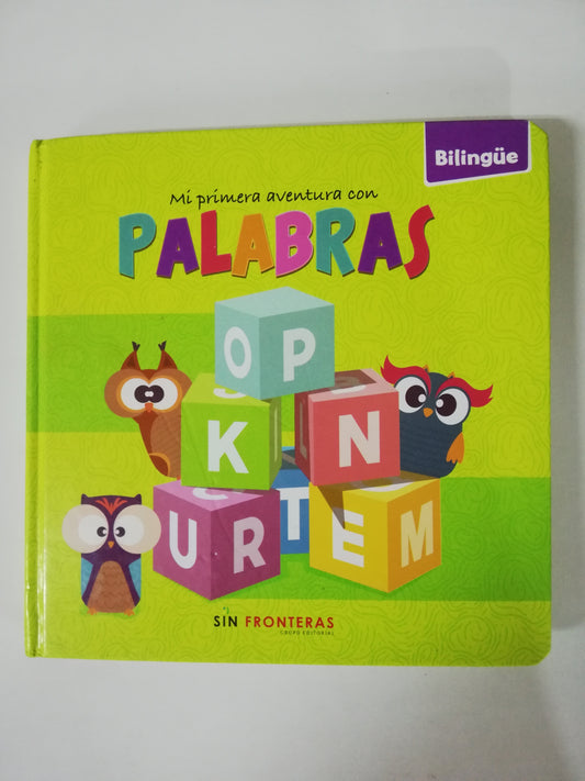 MI PRIMER AVENTURA CON LAS PALABRAS