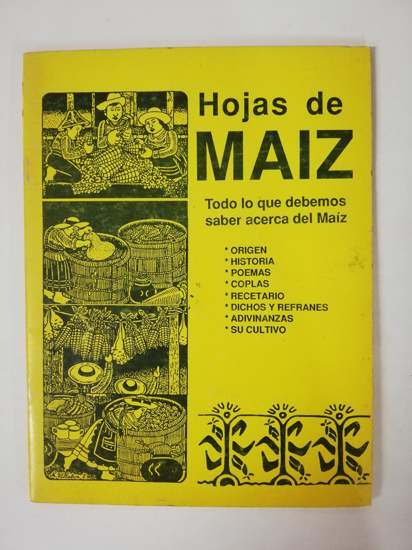 HOJAS DE MAIZ - TODO LO QUE DEBES SABER ACERCA DEL MAIZ