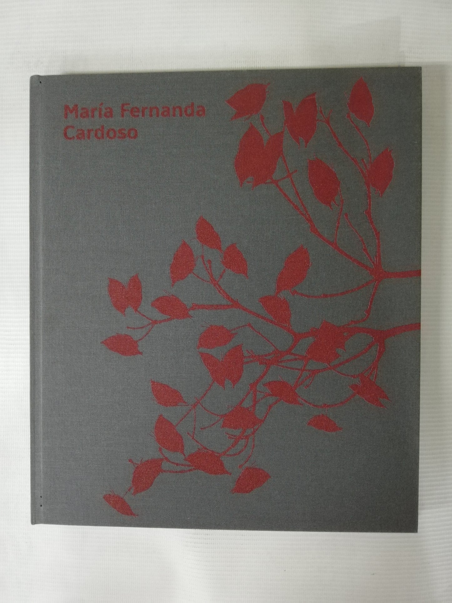 COLECCIÓN DE ARTE CONTEMPORANEO - MARIA FERNANDA CARDOSO / OSCAR MUÑOZ / LUIS ROLDÁN