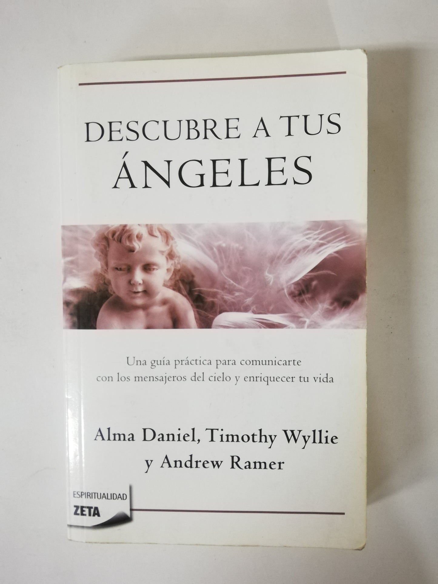 DESCUBRE A TUS ANGELES - ALMA DANIEL, TIMOTHY WYLLIE Y ANDREW RAMER