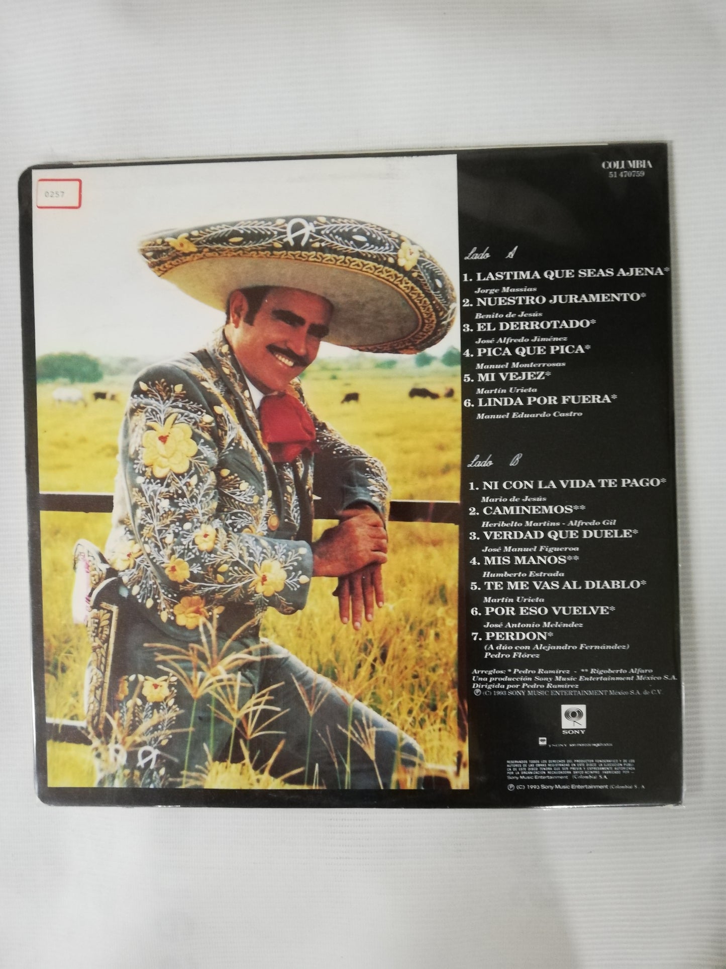 LP VICENTE FERNANDEZ - LASTIMA QUE SEAS AJENA