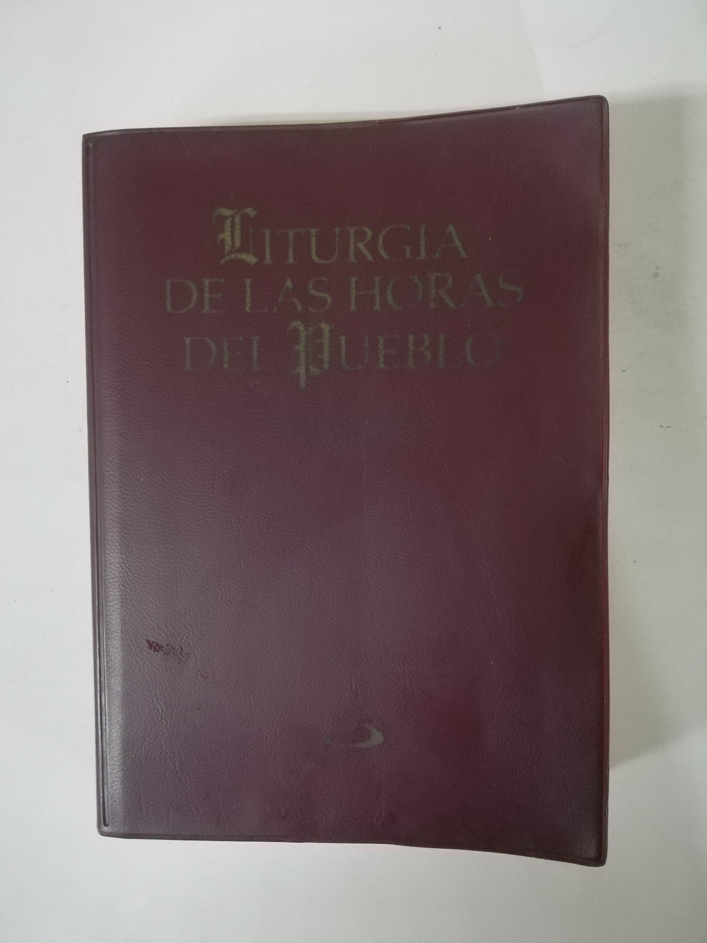 LA LITURGIA DE LA HORAS DEL PUEBLO
