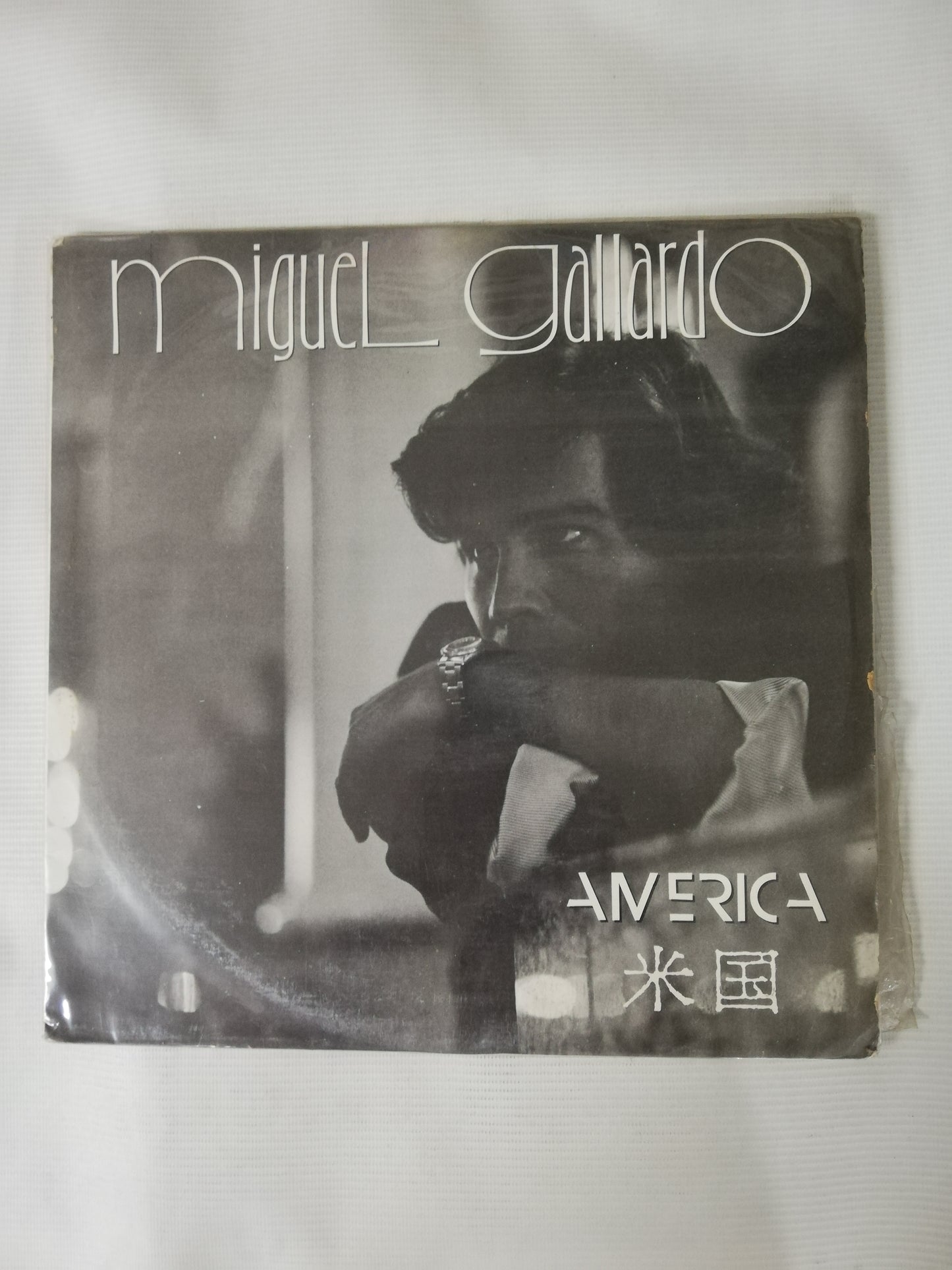 LP MIGUEL GALLARDO - AMÉRICA
