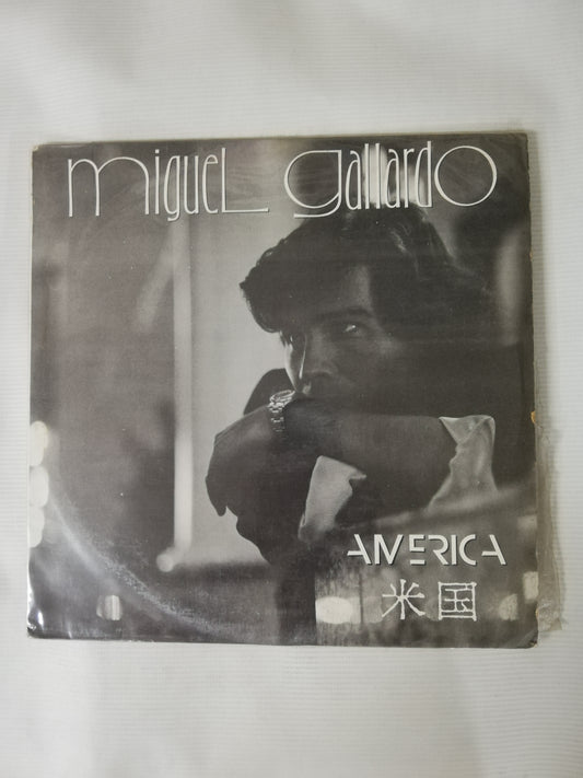 LP MIGUEL GALLARDO - AMÉRICA