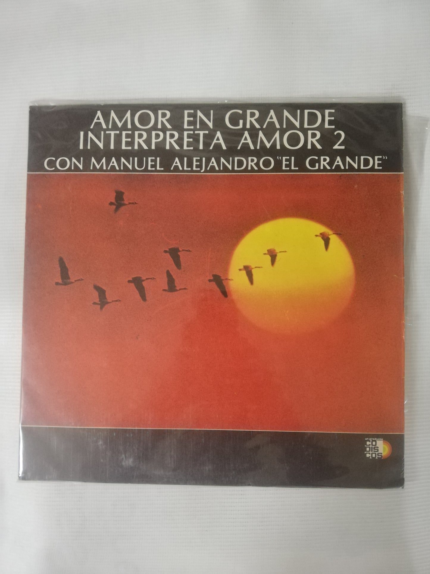 LP AMOR 2 - AMOR EN GRANDE CON MANUEL ALEJANDRO "EL GRANDE"