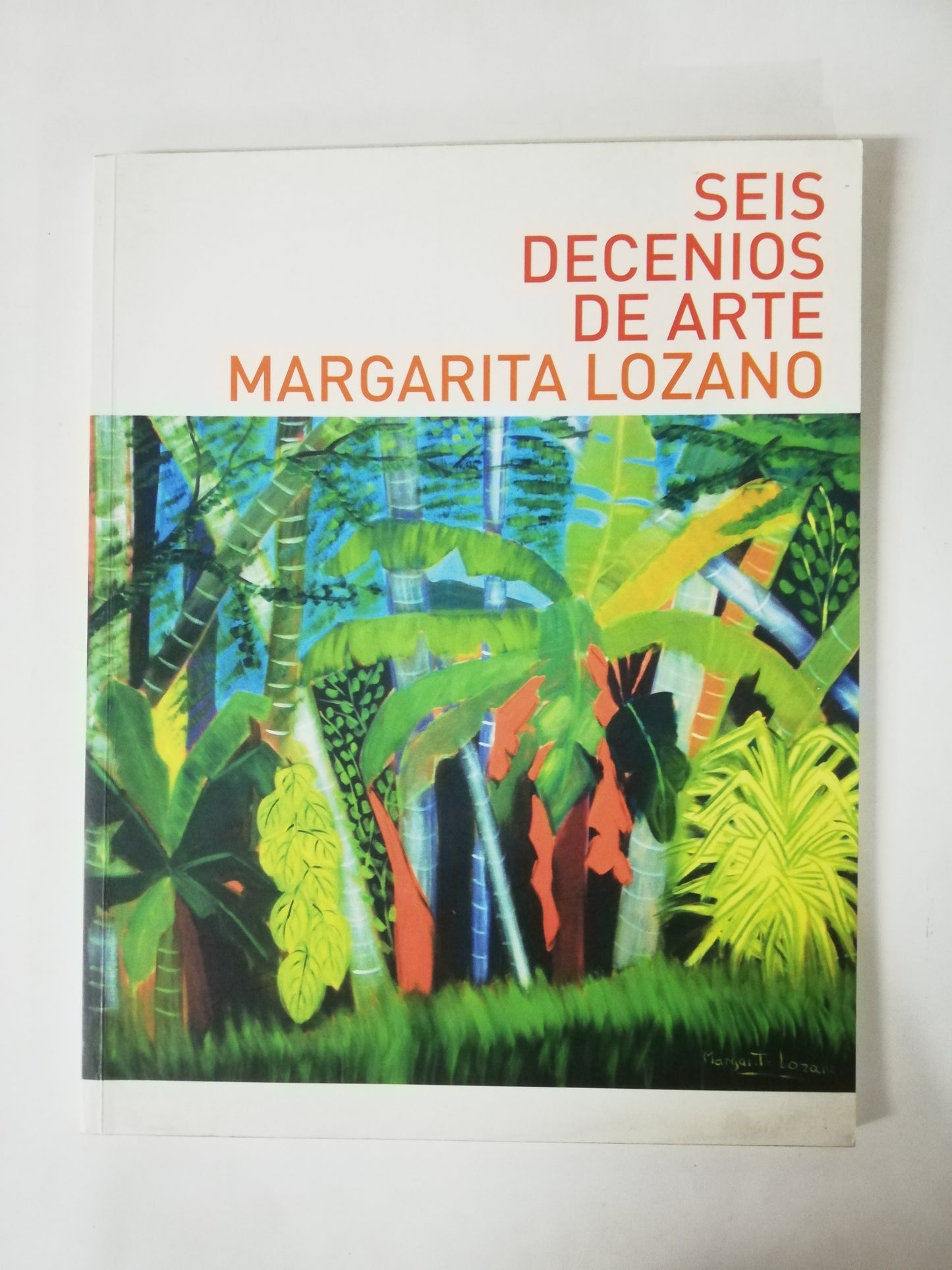 SEIS DECENIOS DE ARTE - MARGARITA LOZANO