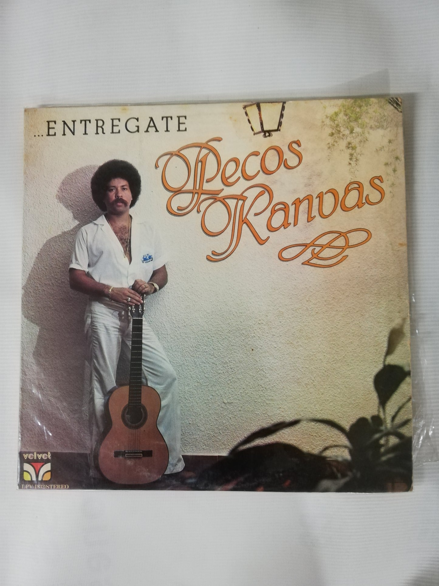 LP PECOS KANVAS - ...ENTREGATE