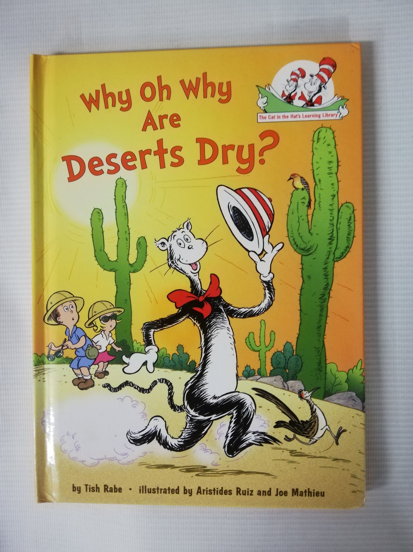 WHY OH WHY ARE DESERTS DRY? - RABE / RUIZ / MATHIEU