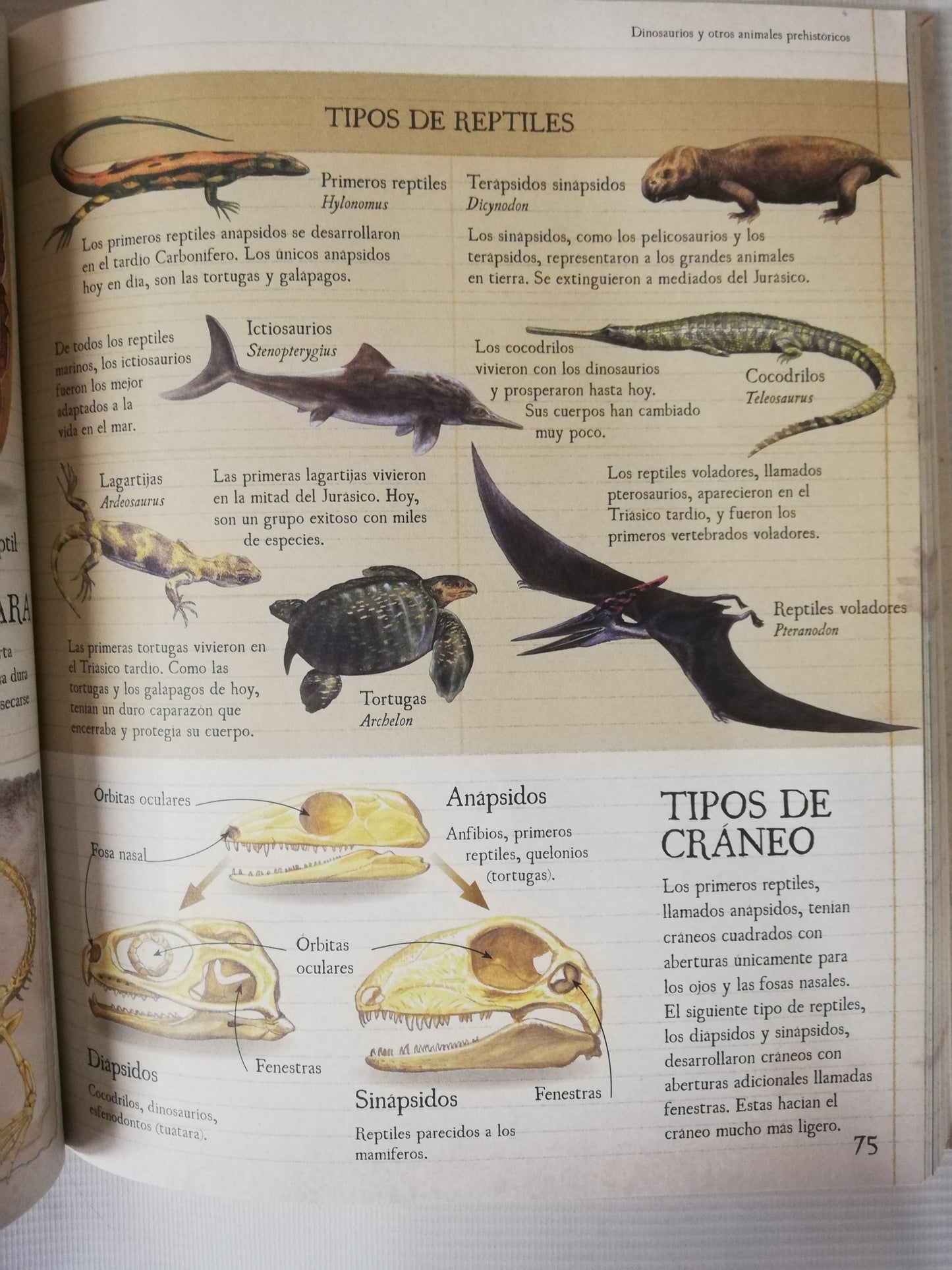 ENCICLOPEDIA DE LOS DINOSAURIOS Y OTROS ANIMALES PREHISTÓRICOS