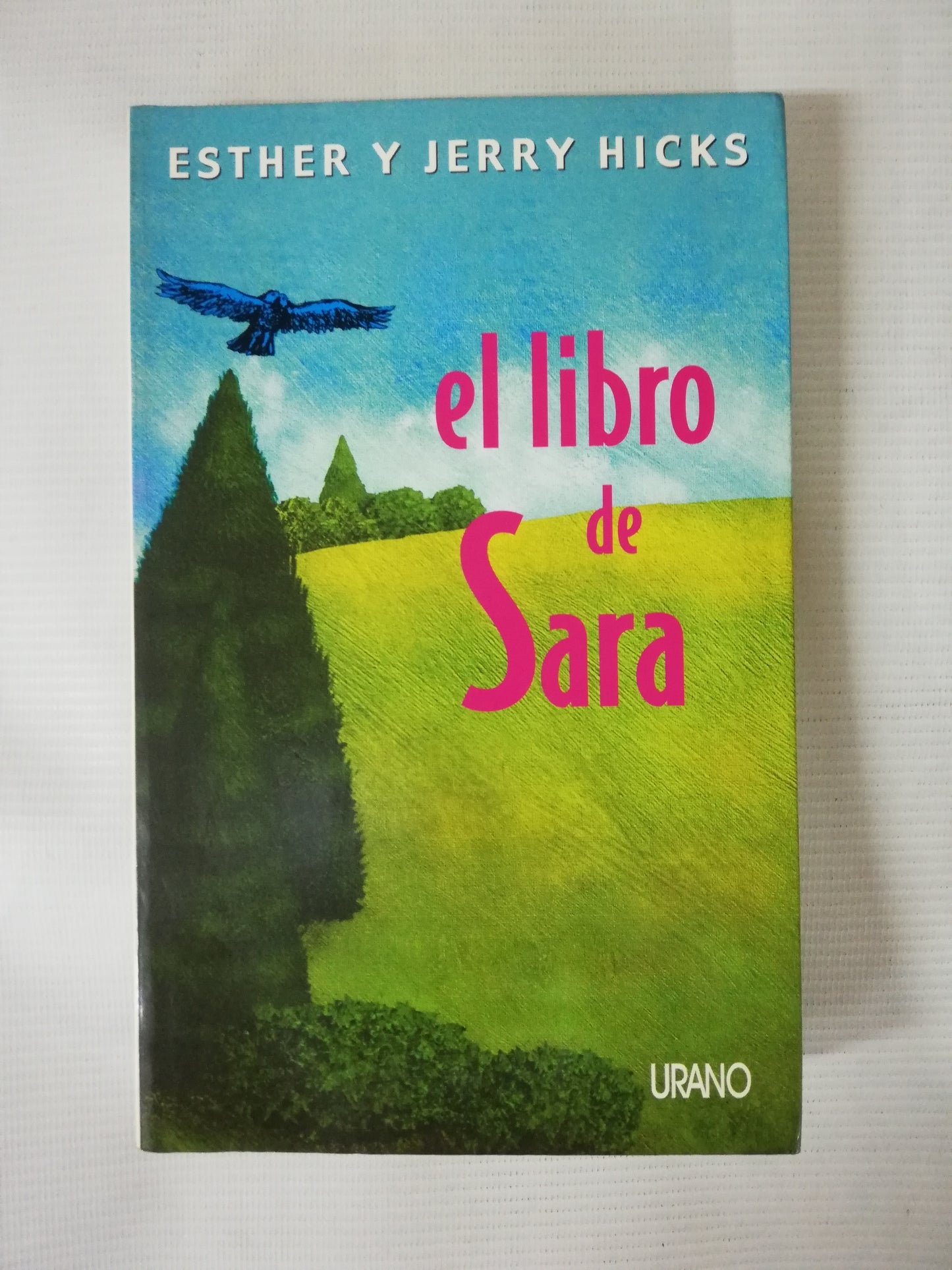 EL LIBRO DE SARA - ESTHER Y JERRY HICKS