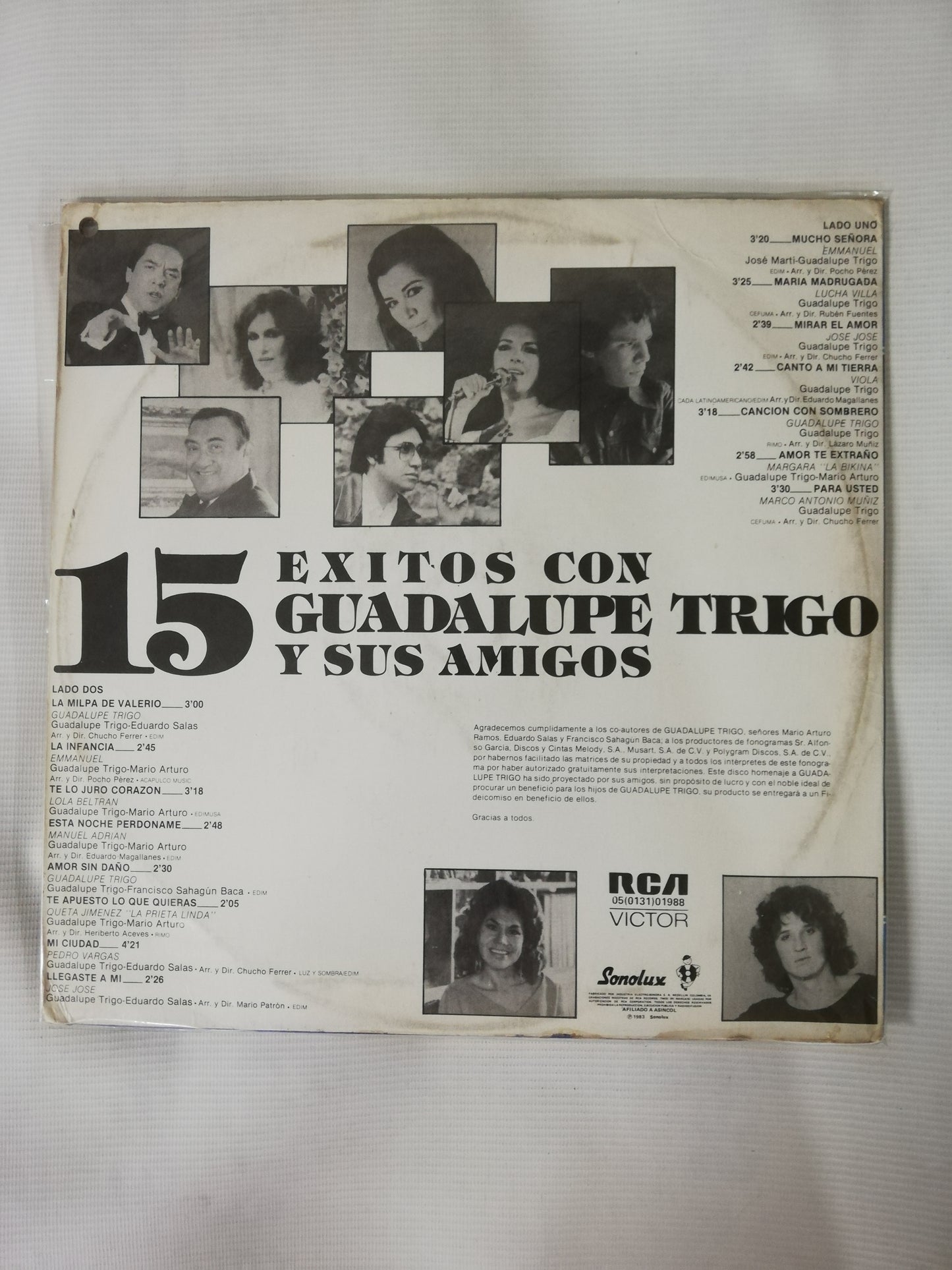 LP GUADALUPE TRIGO - 15 EXITOS DE GUADALUPE TRIGO Y SUS AMIGOS