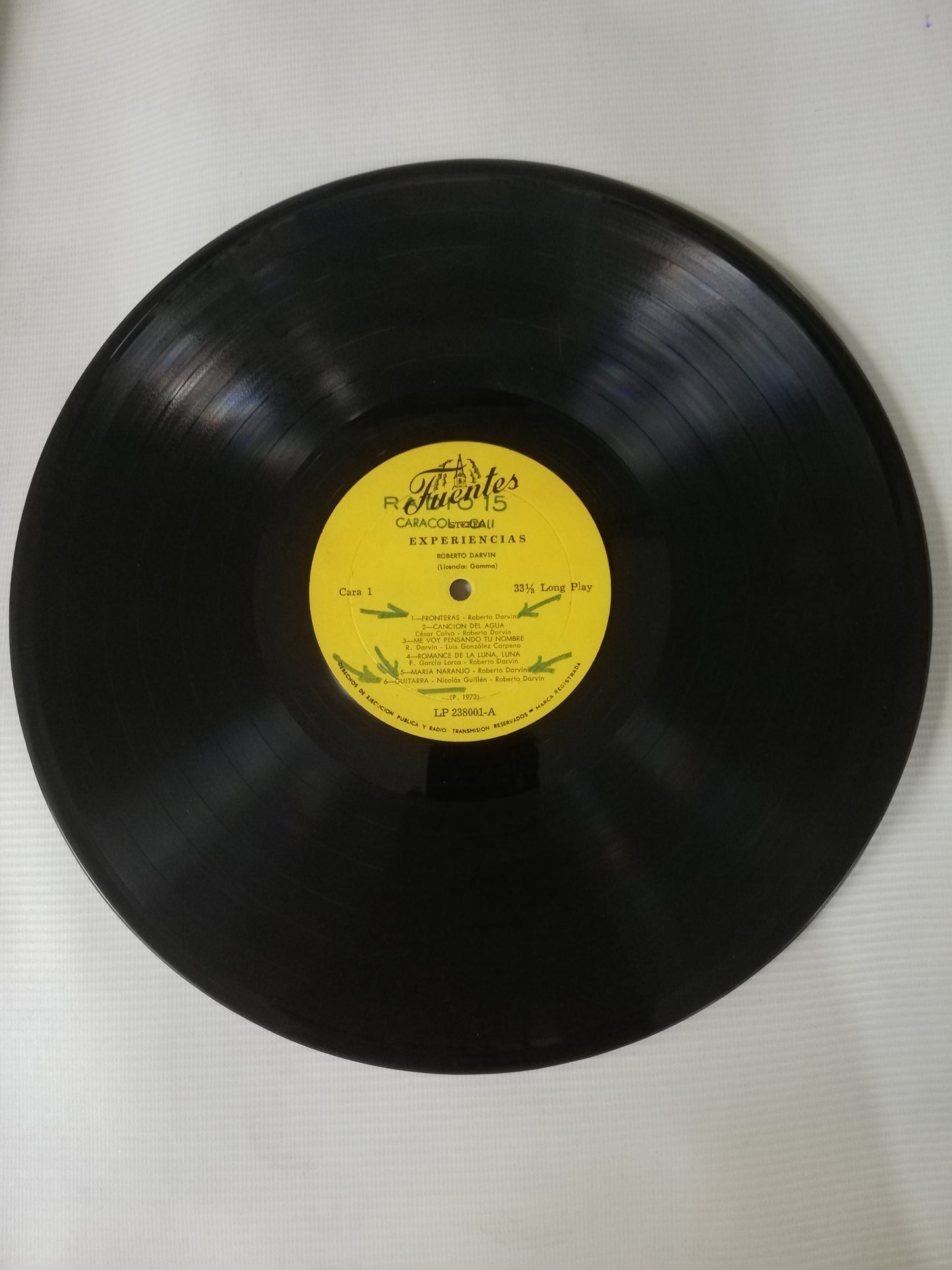 LP ROBERTO DARVIN - EXPERIENCIAS